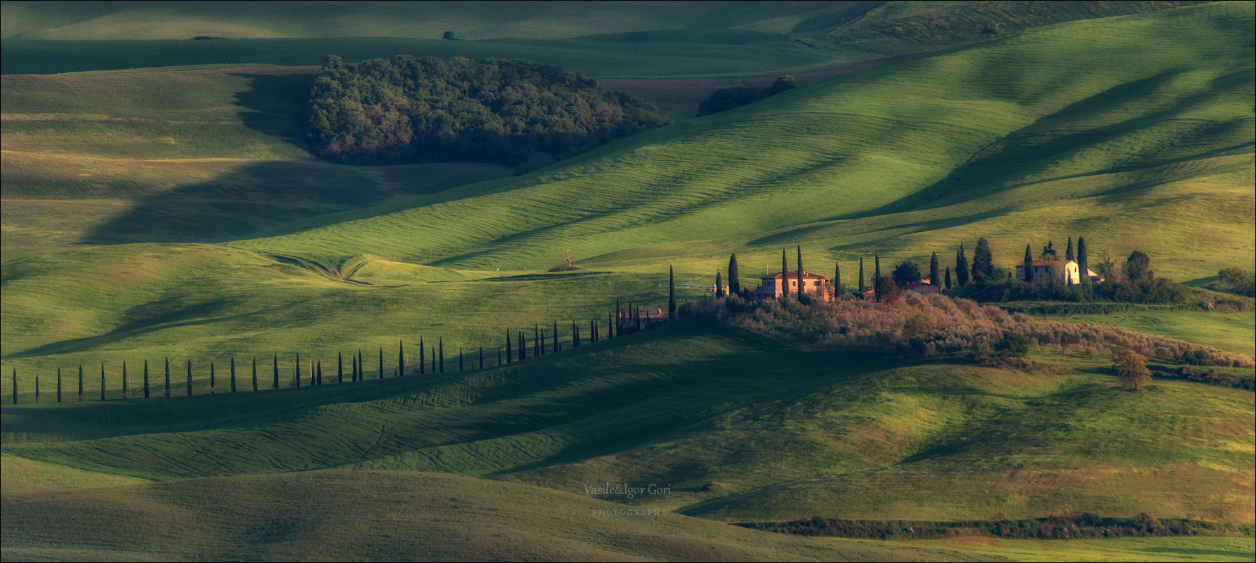 italy,san quirico d'orcia,italia,италия,тоскана,pienza,кипарис,toscana,весна,tuscany,cipressi,belvedere,пьенца,тени,rural, Гори Василий