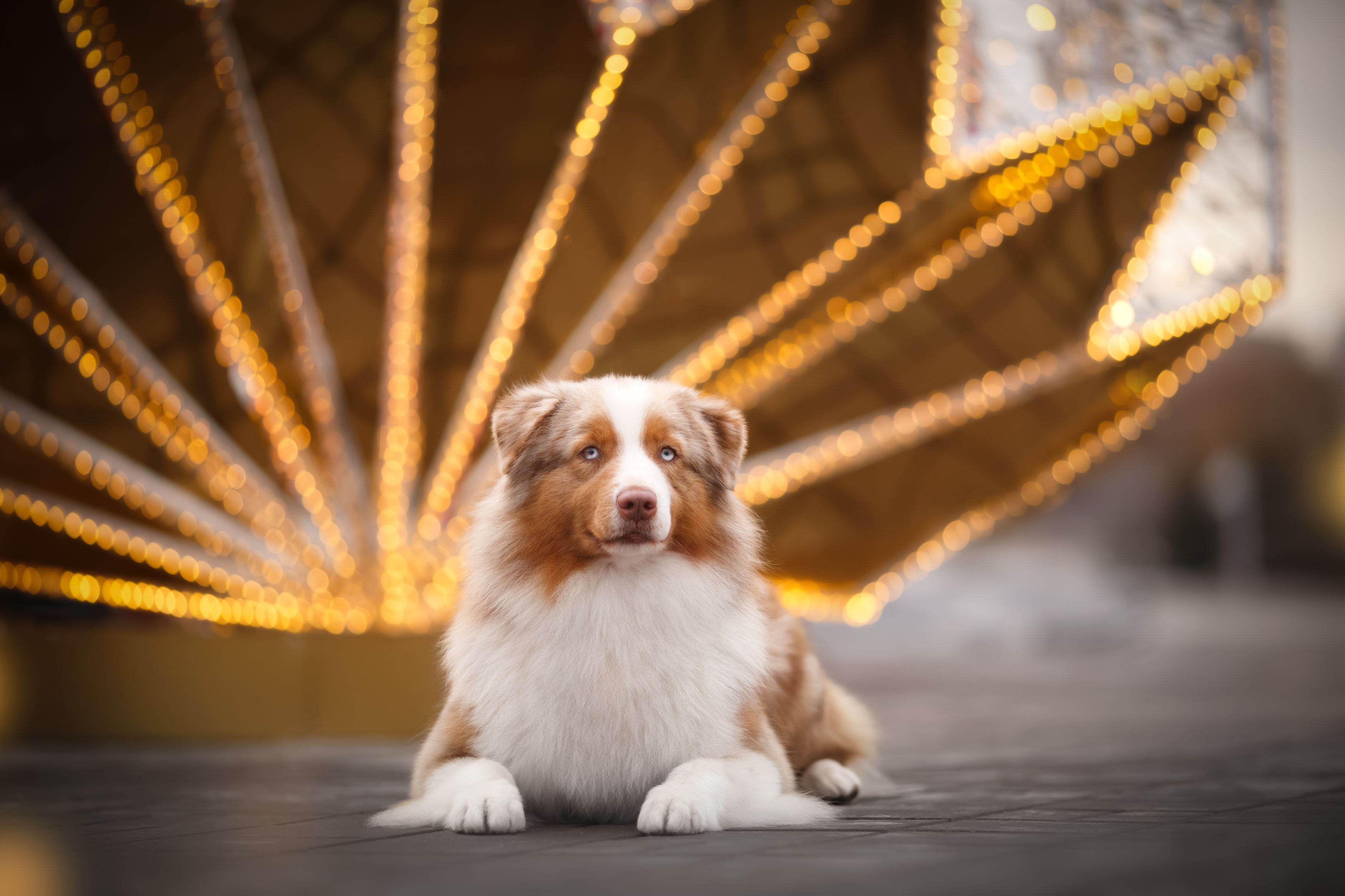 , Евгения Костусева