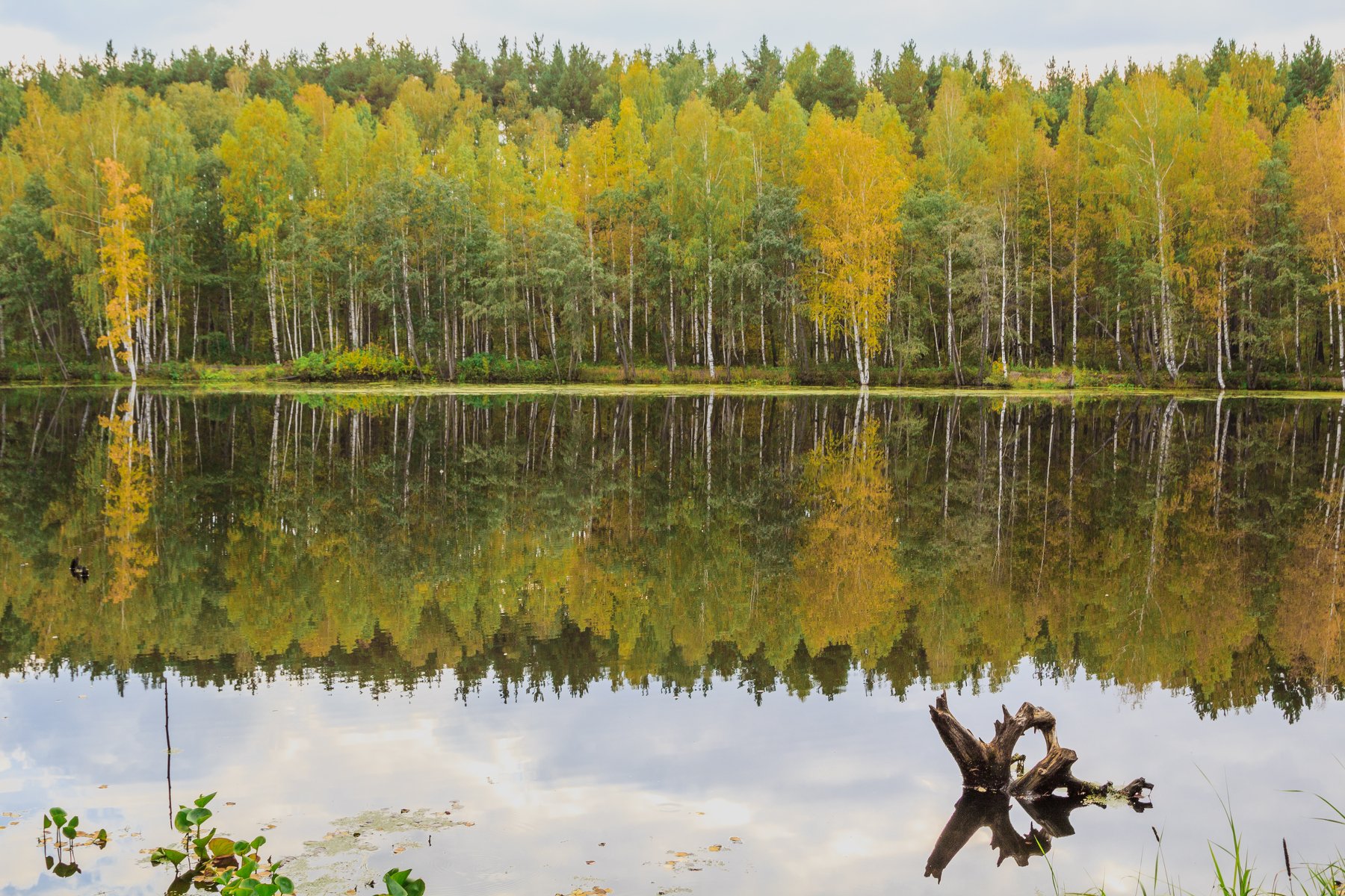 озеро, щучье, вода, отражение, осень, деревья, отражения, природа, пейзаж, Сергей Гарифуллин