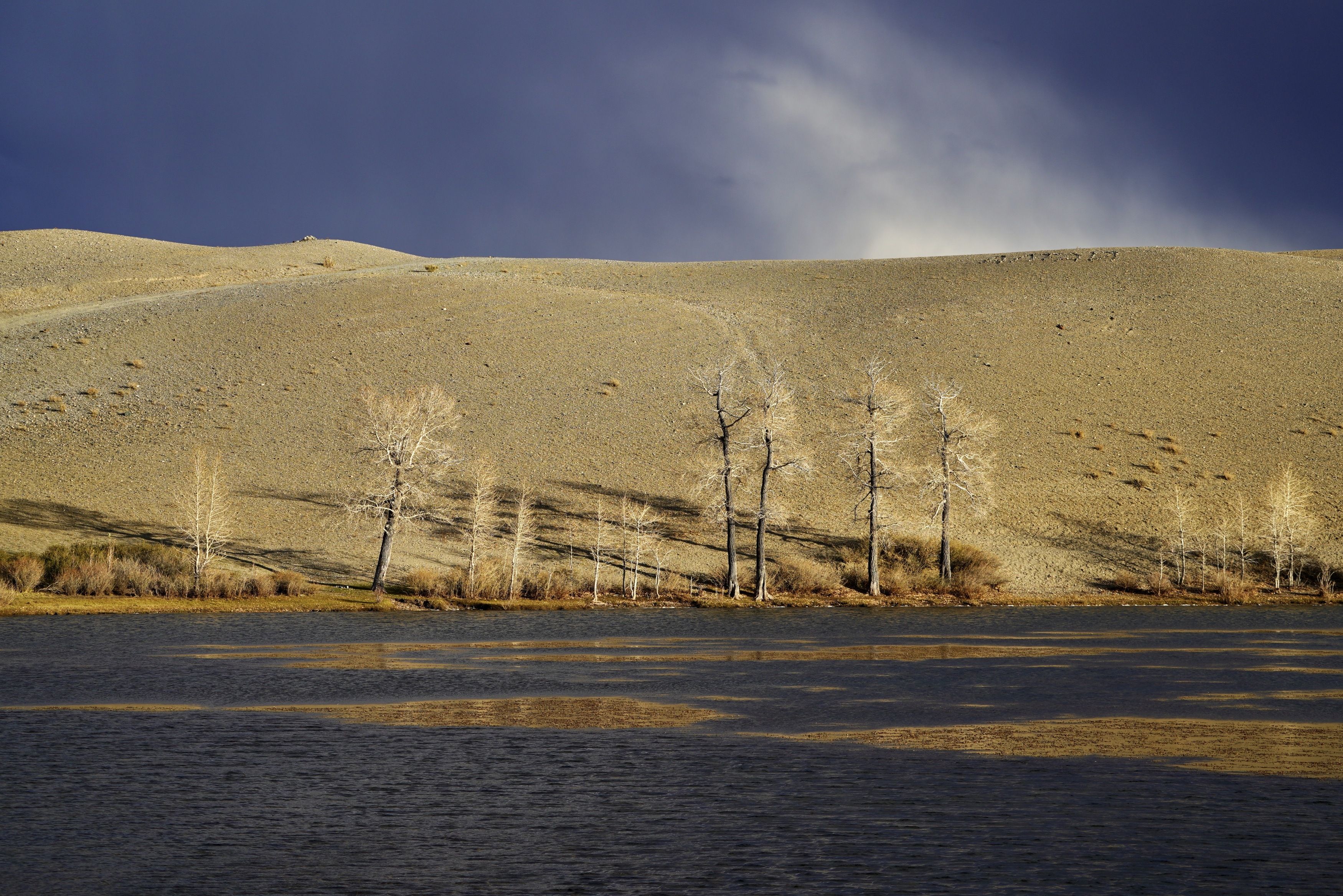 , Кузнецов Андрей