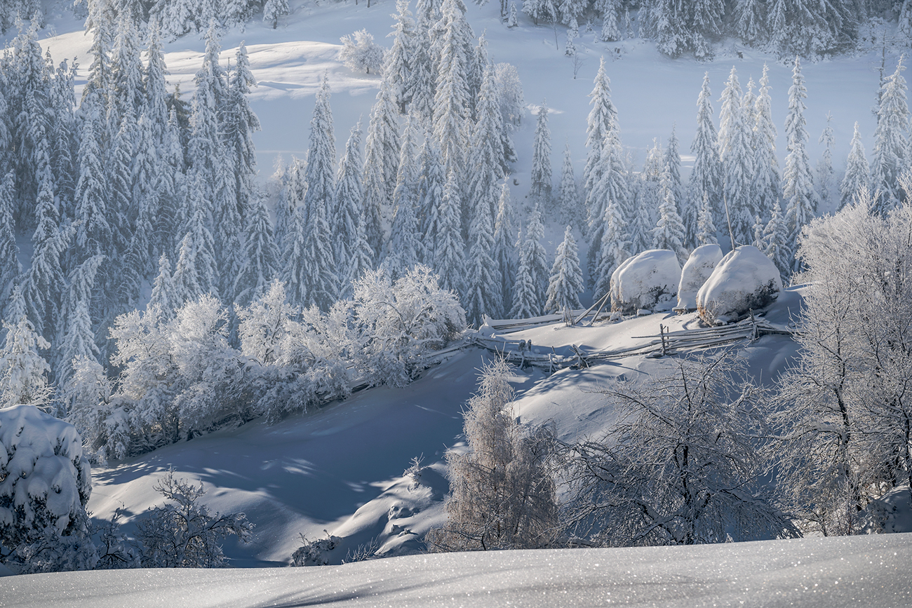 landscape, nature, scenery, winter, snow, shadows, idyllic, mountain, rodopi, bulgaria, Александър Александров