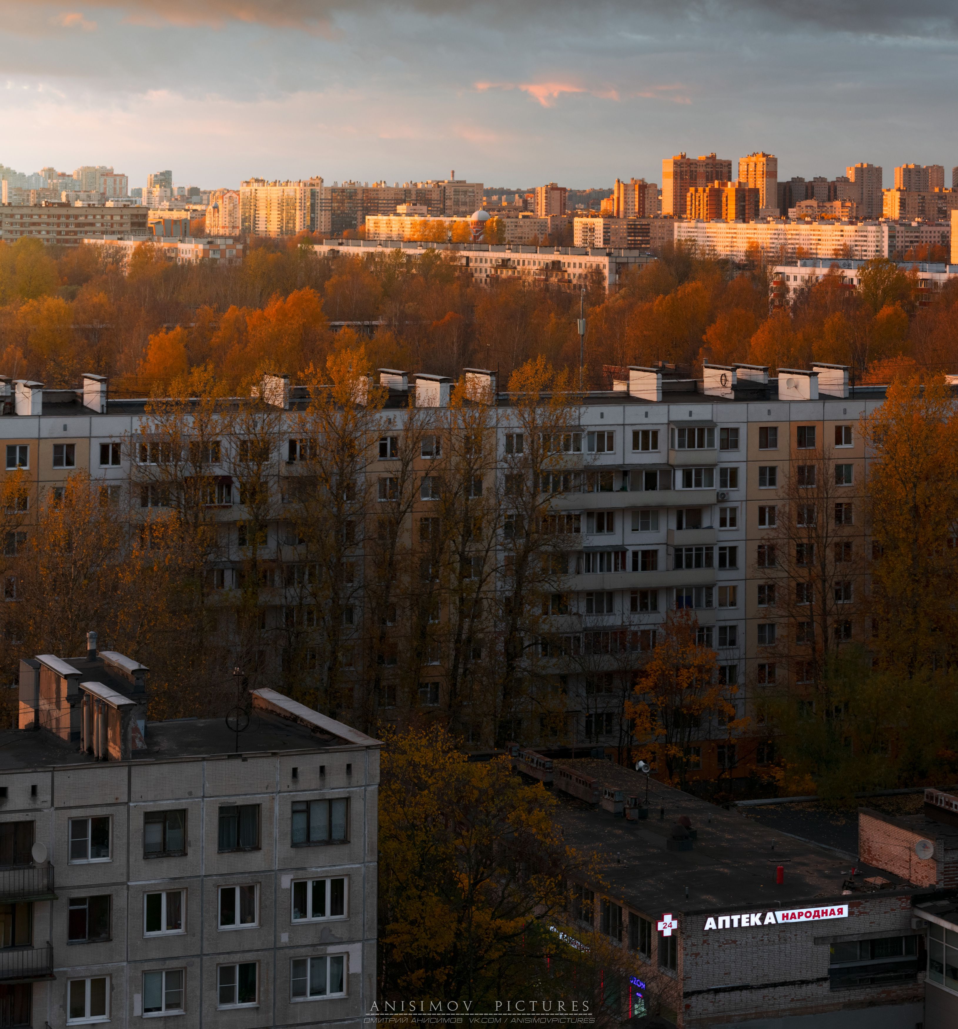 осень, санкт-петербург, Dmitriy Anisimov
