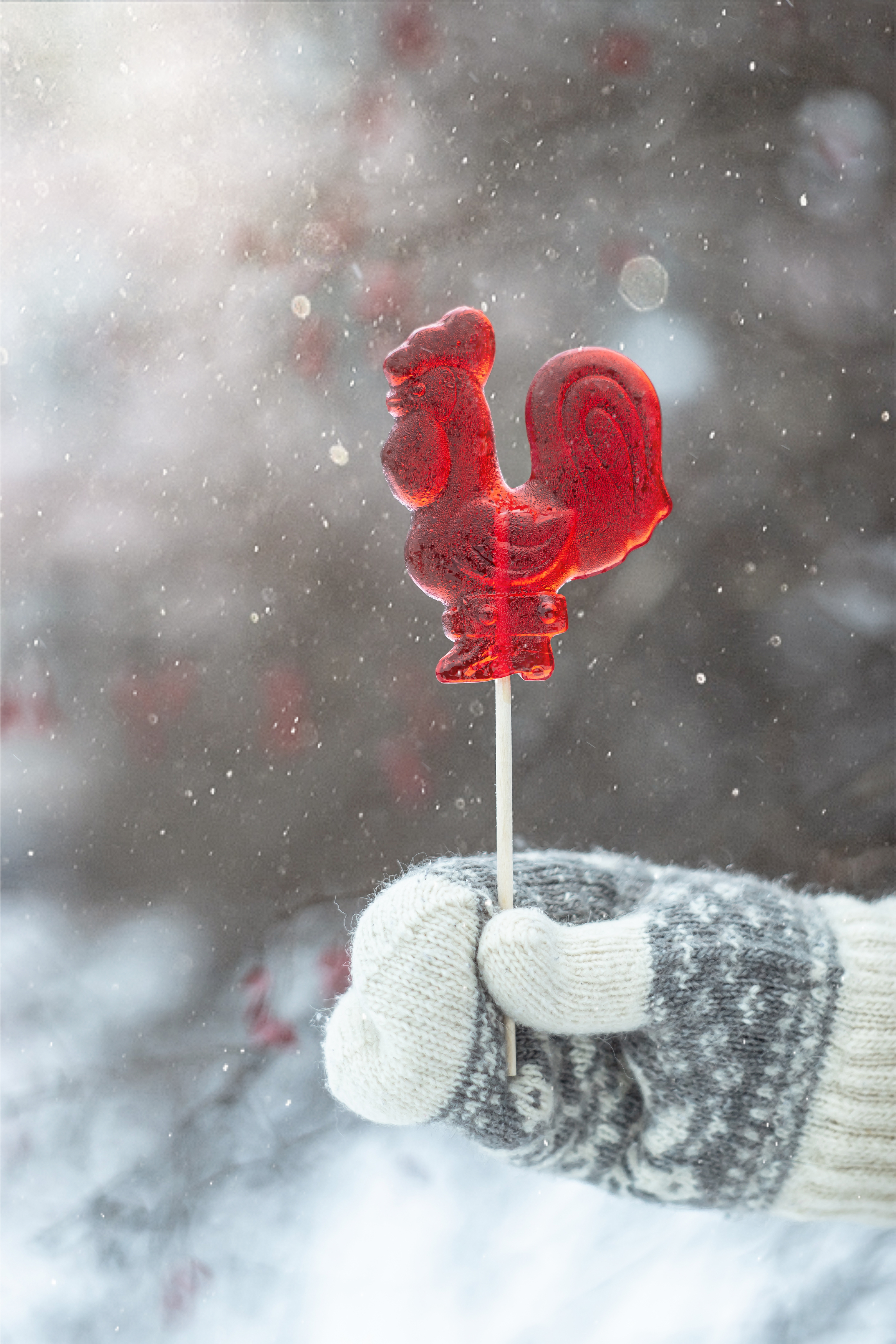 макро, зима, гелиос, боке, macro, helios, helios40_2, bokeh, Обидина Мария