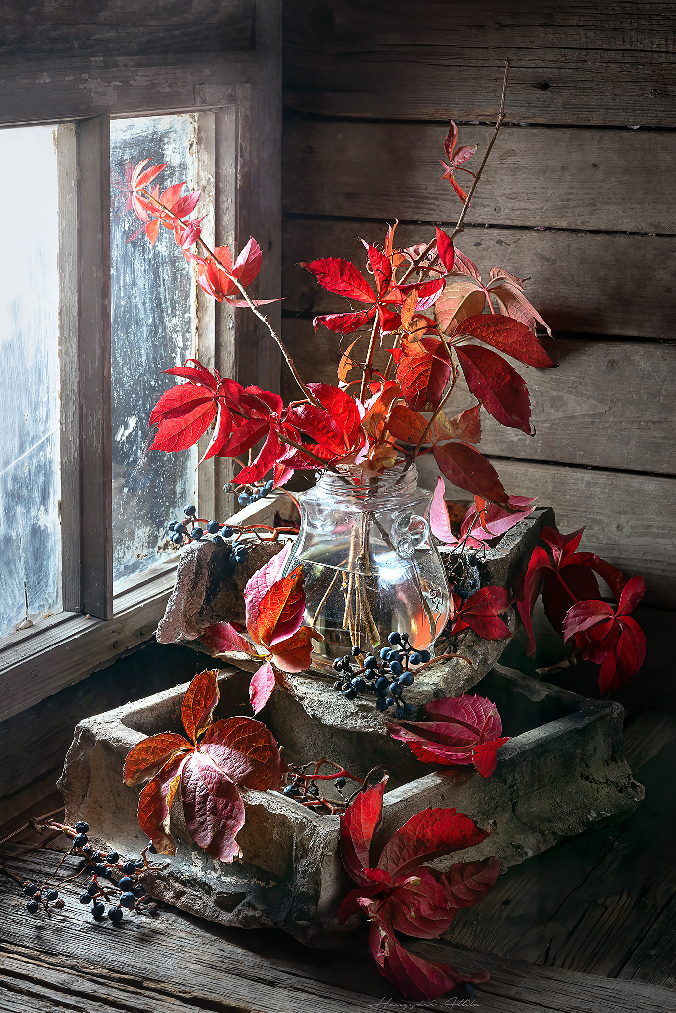 red, leaves, still life, fine art, Hangyasi Attila