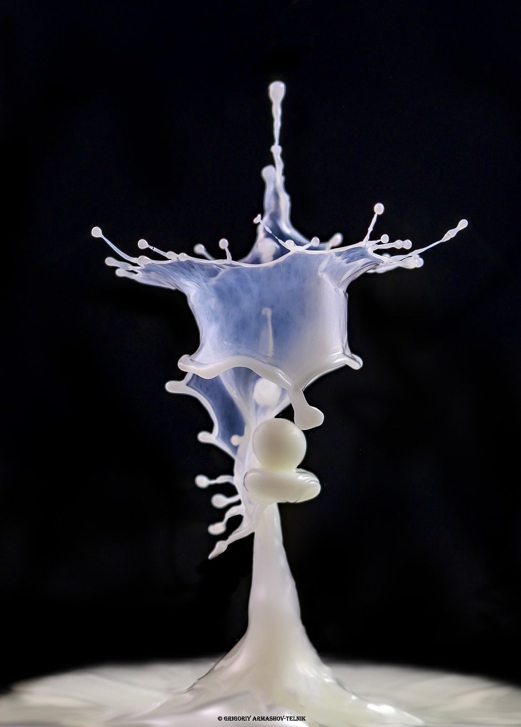 #color_image #color #drop #liqiud #macro #water #macrophoto #milk, Armashov-Telnik Grigoriy