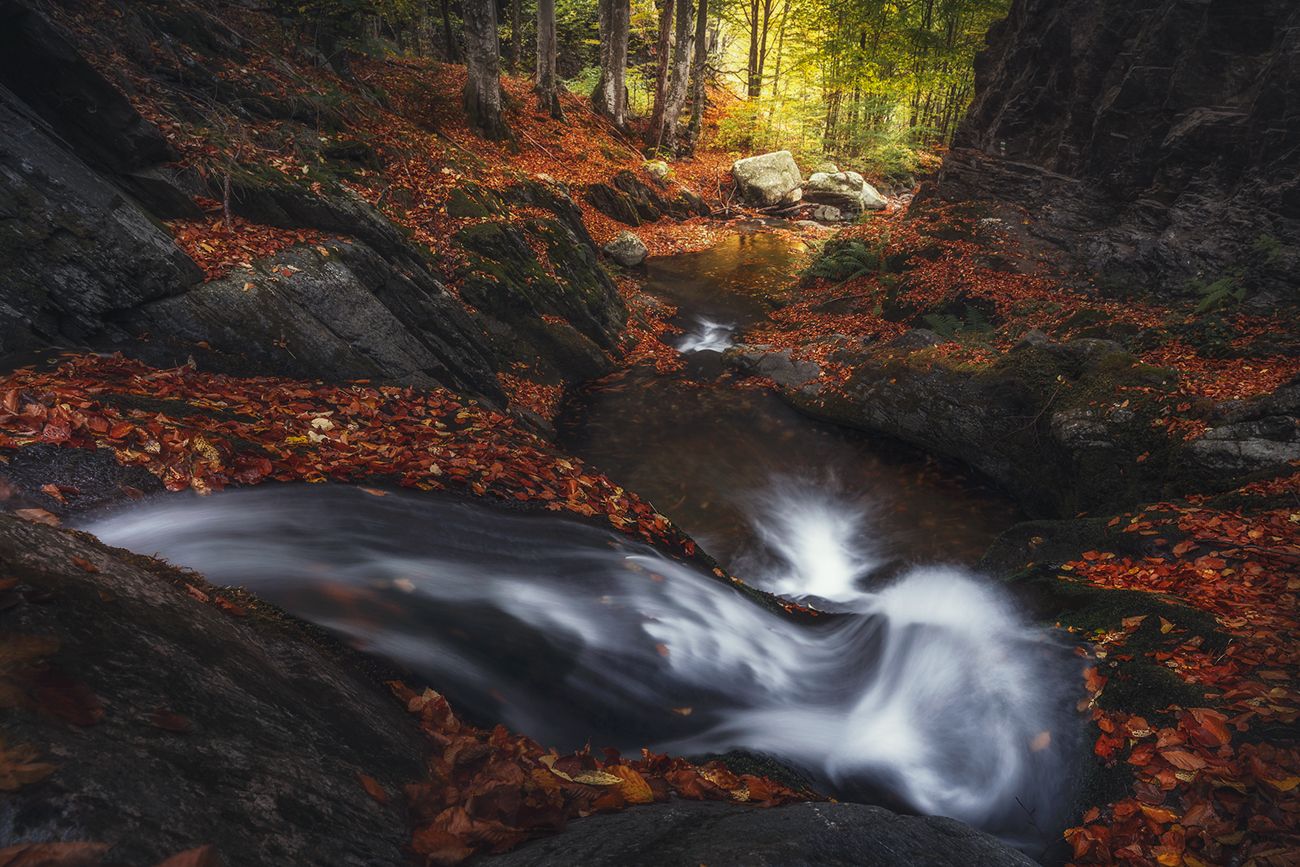 landscape, nature, scenery, forest, wood, autumn, fall, river, mountain, staraplanina, bulgaria, лес, Александър Александров