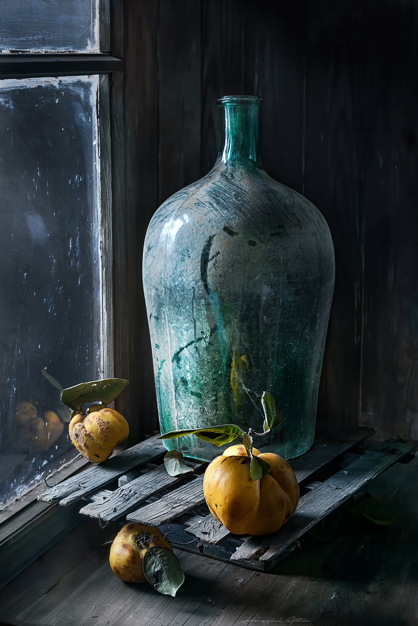 quince, still life, Hangyasi Attila