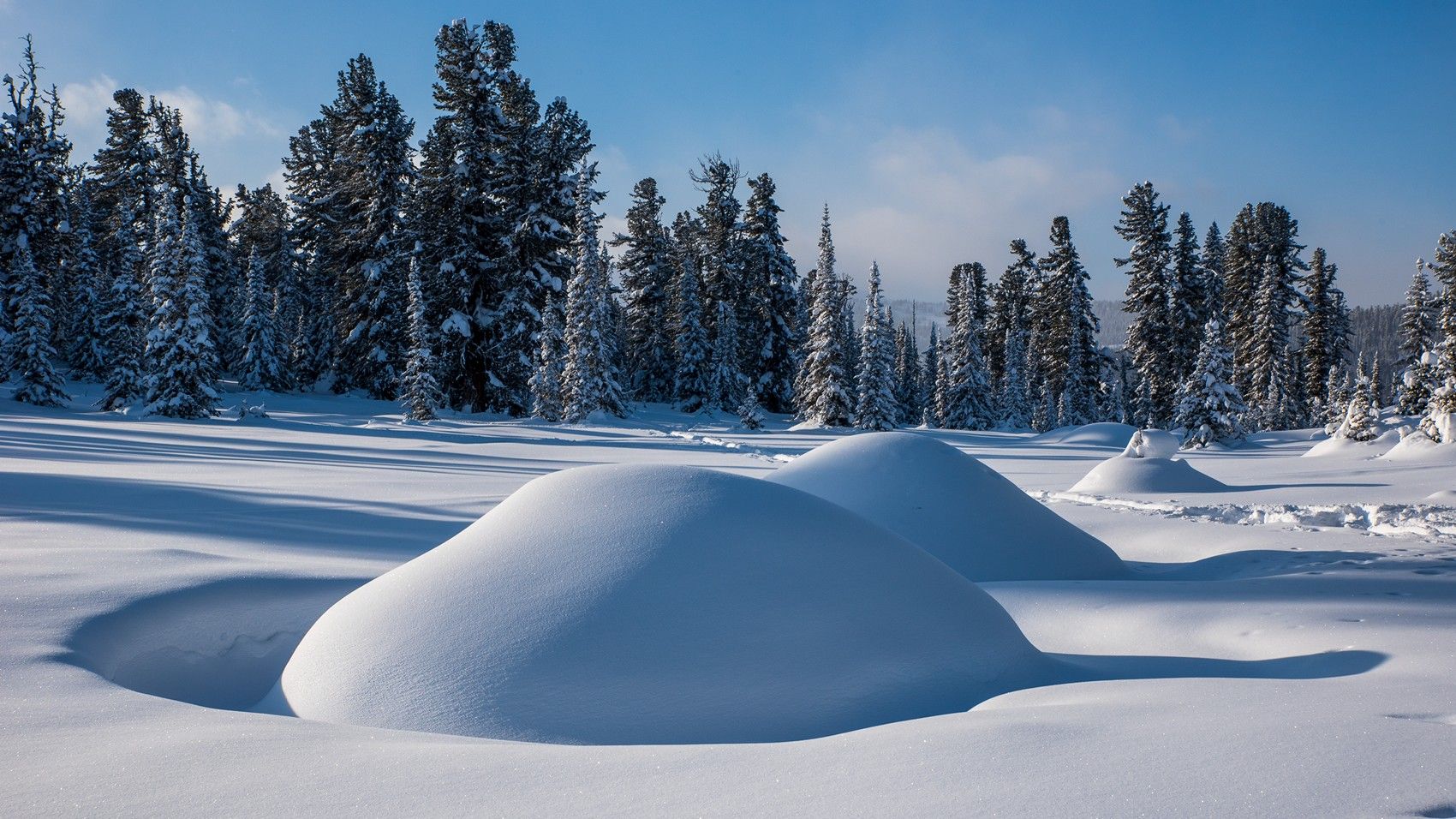 ергаки, луг, сугробы, снег, зима, ели, Юрий Мальцев