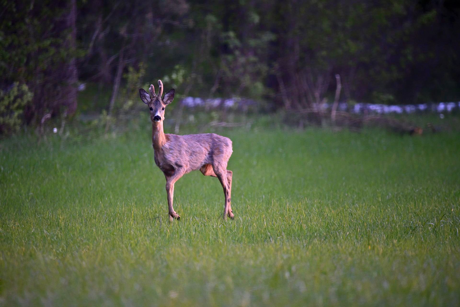 , Юлия Абрамова