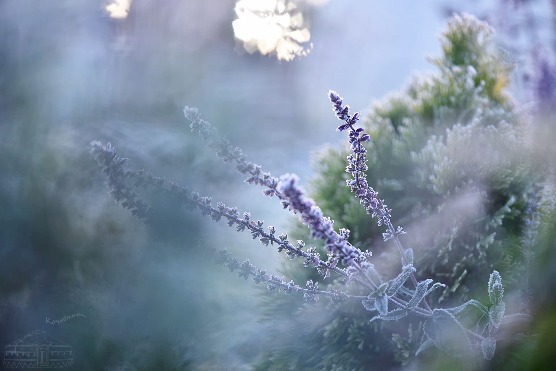 , Юлия Абрамова