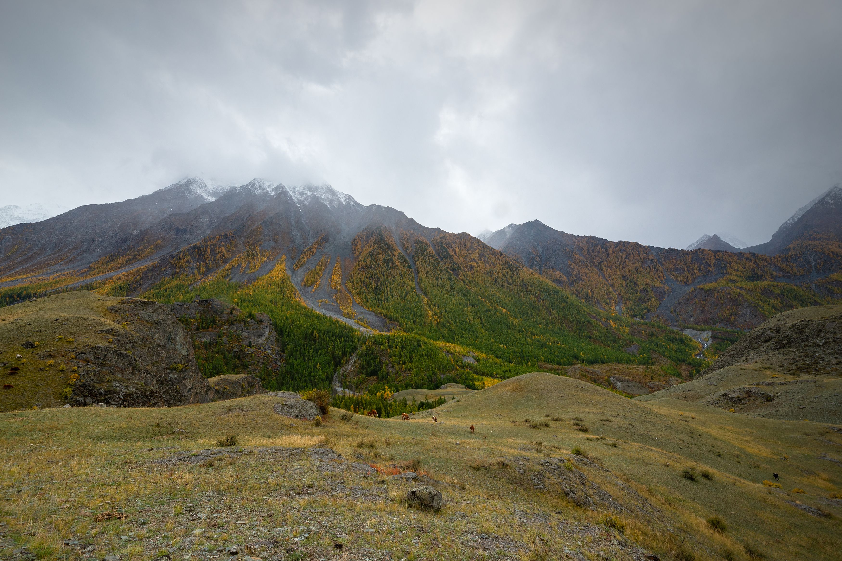 , Рустем Диков