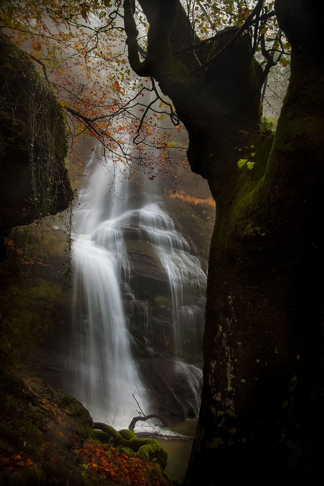 , Antonio Cantabrana