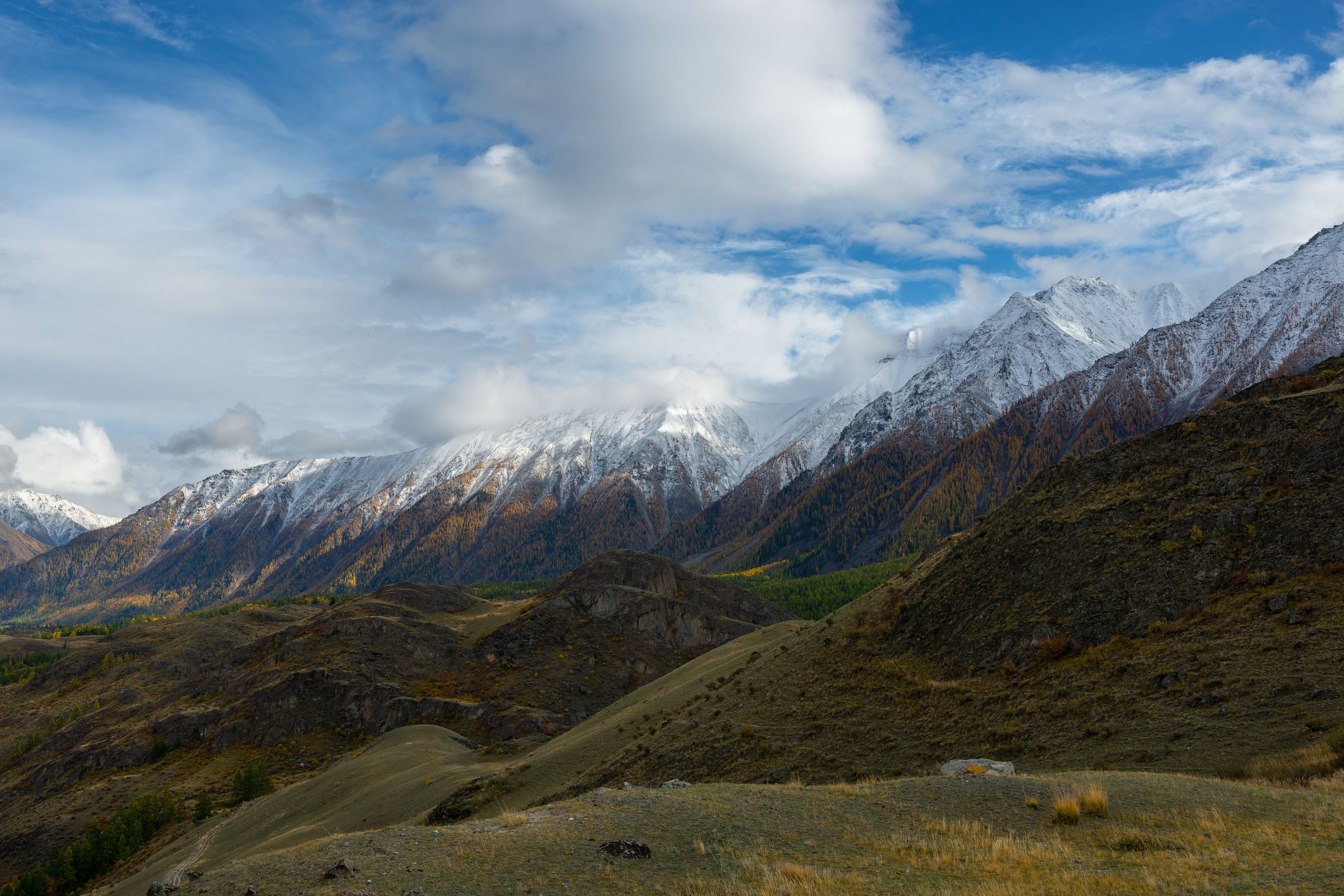 , Рустем Диков