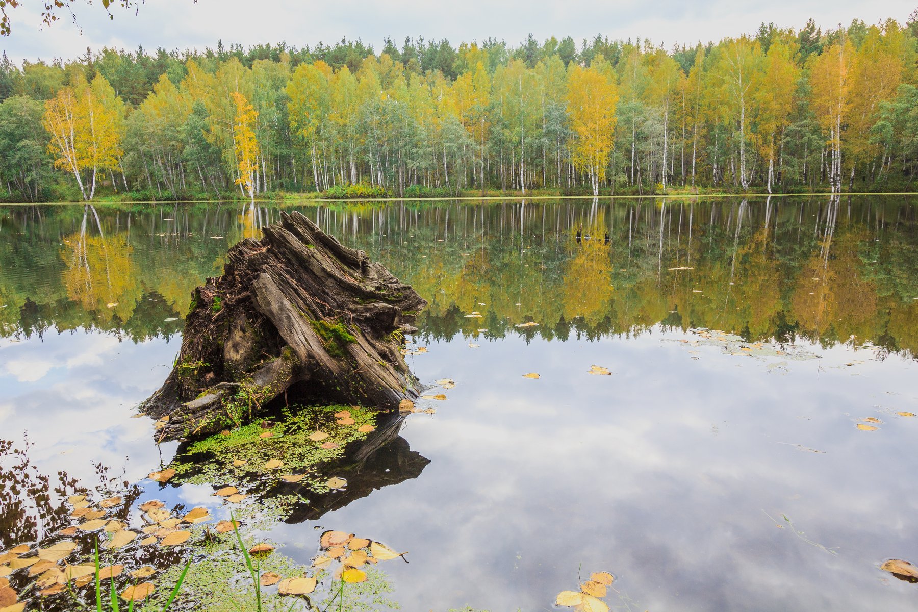 озеро, отражение, природа, пейзаж, вода, весна, лес, деревья, урал, Сергей Гарифуллин