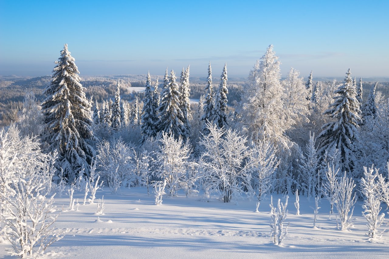 Красивые картинки вид зимнего леса с уральских гор