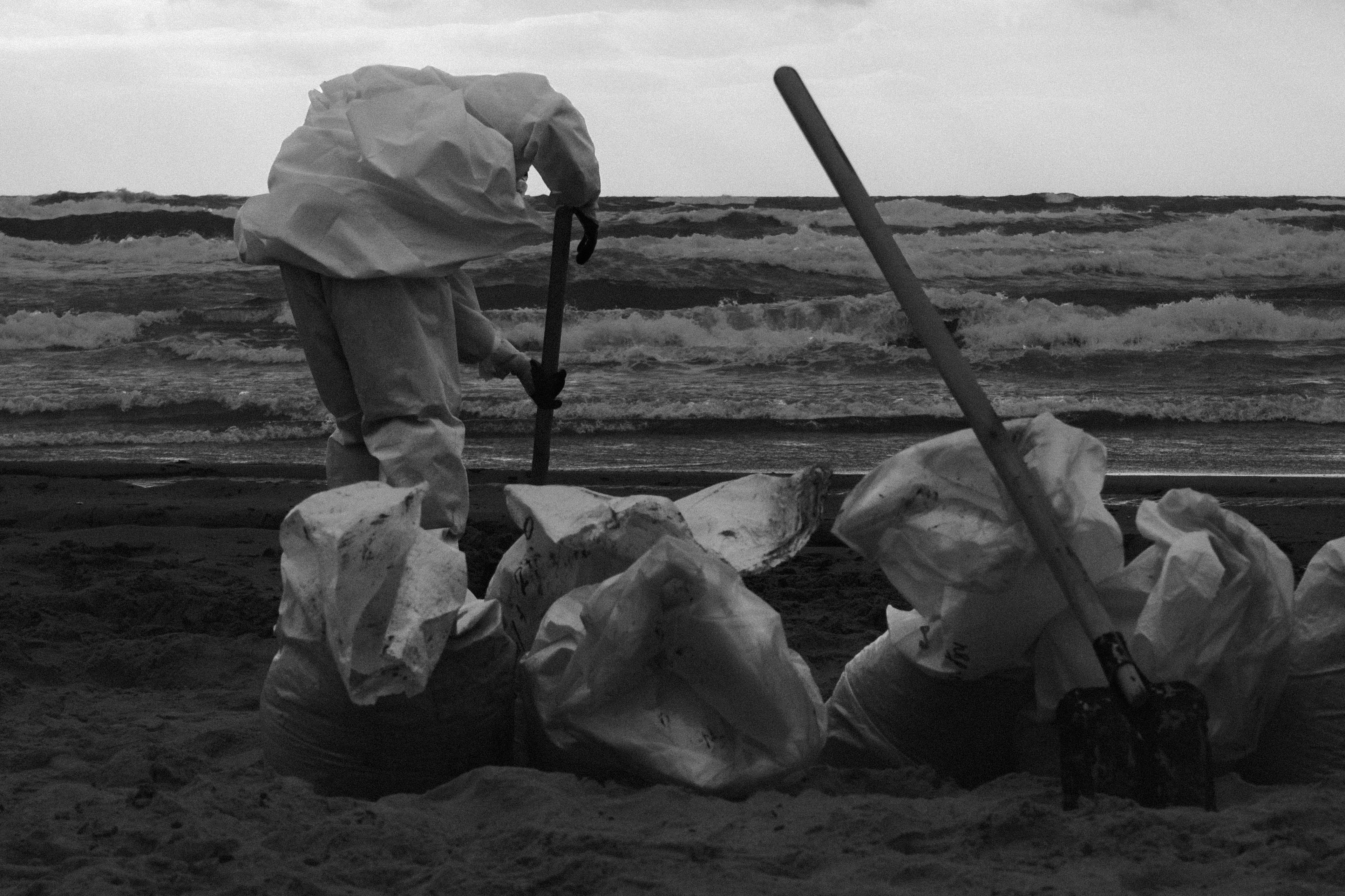 , Елена Шевченко