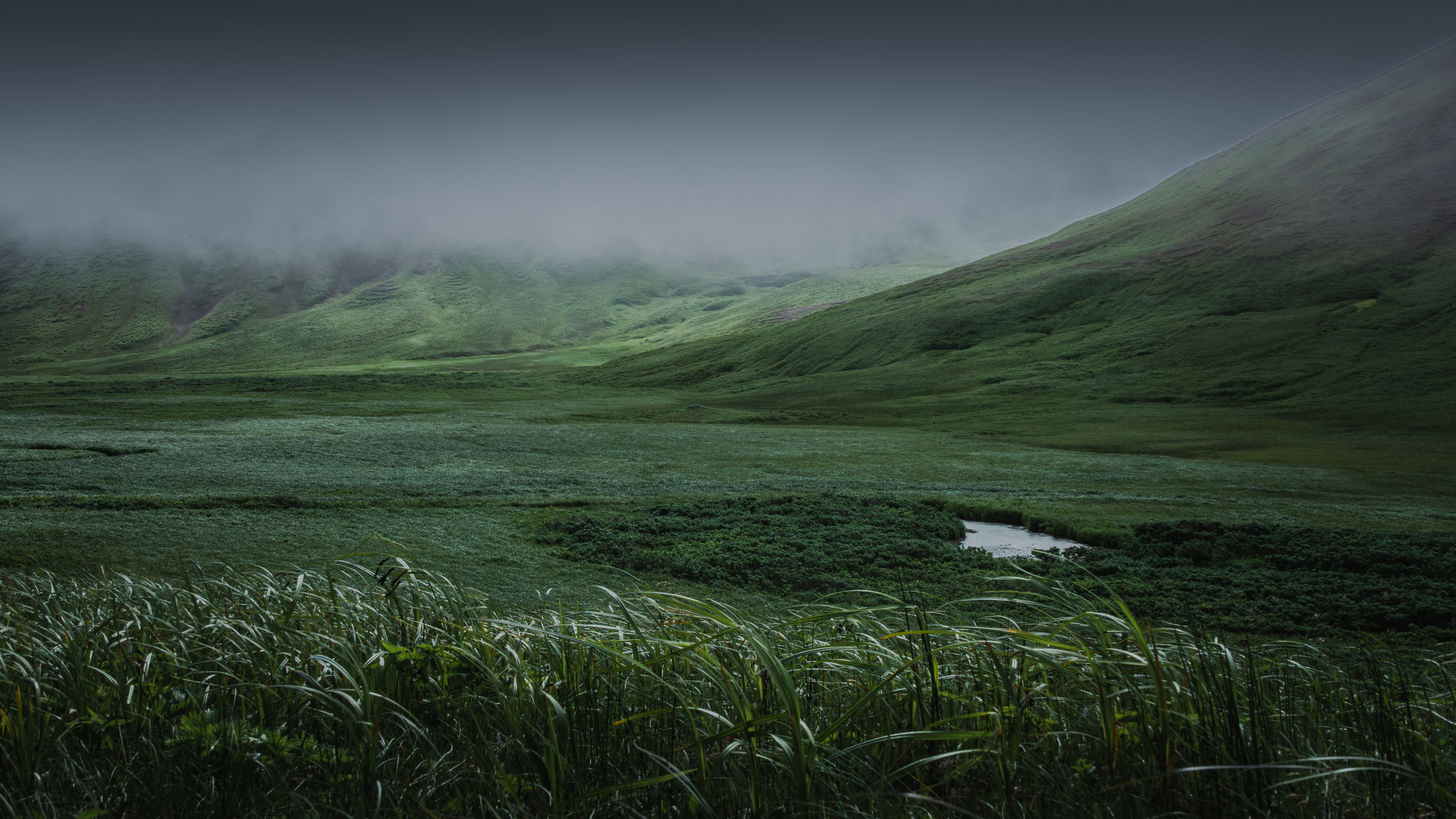 , Денис Туев