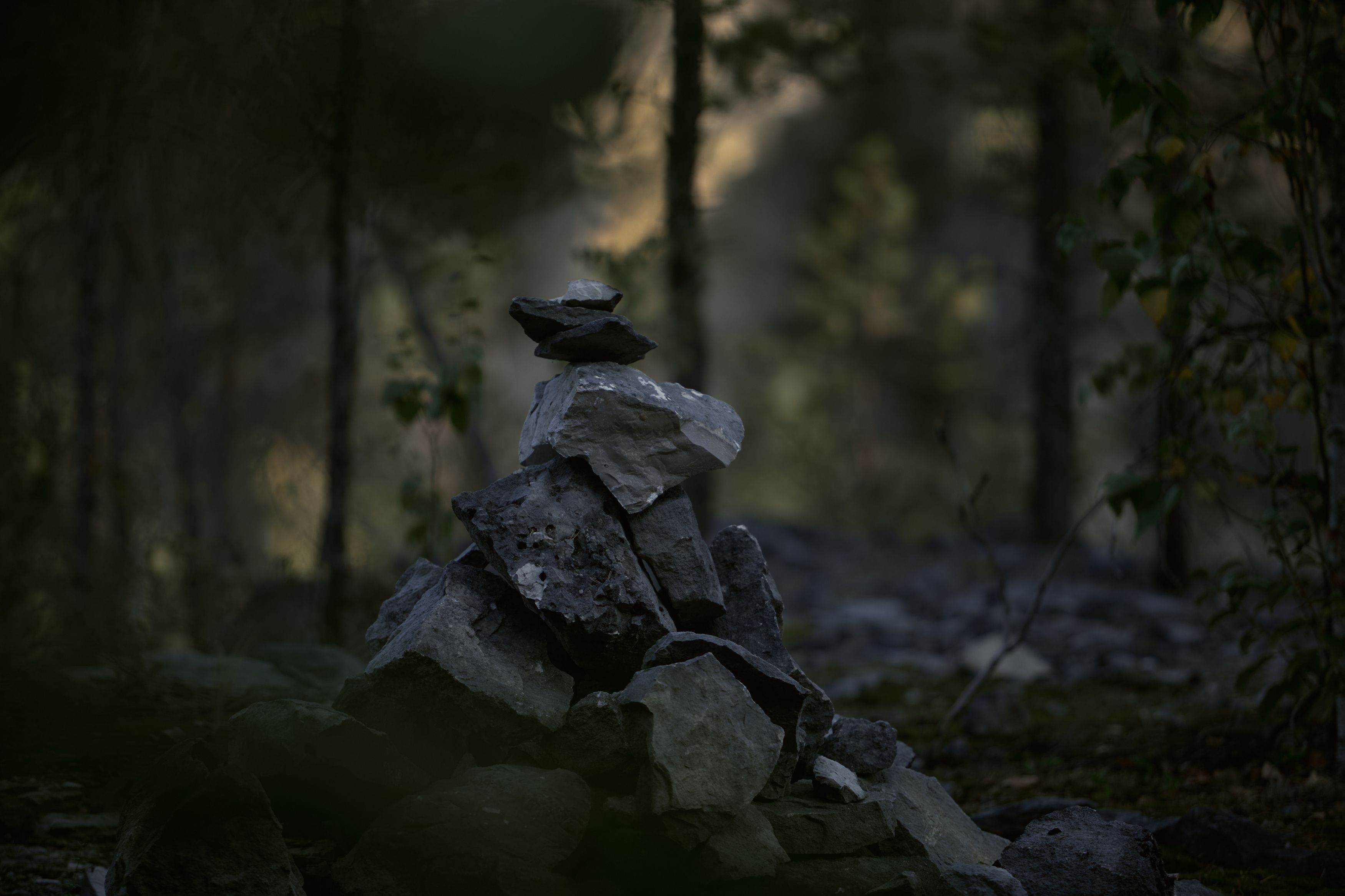 , Филатова Алина