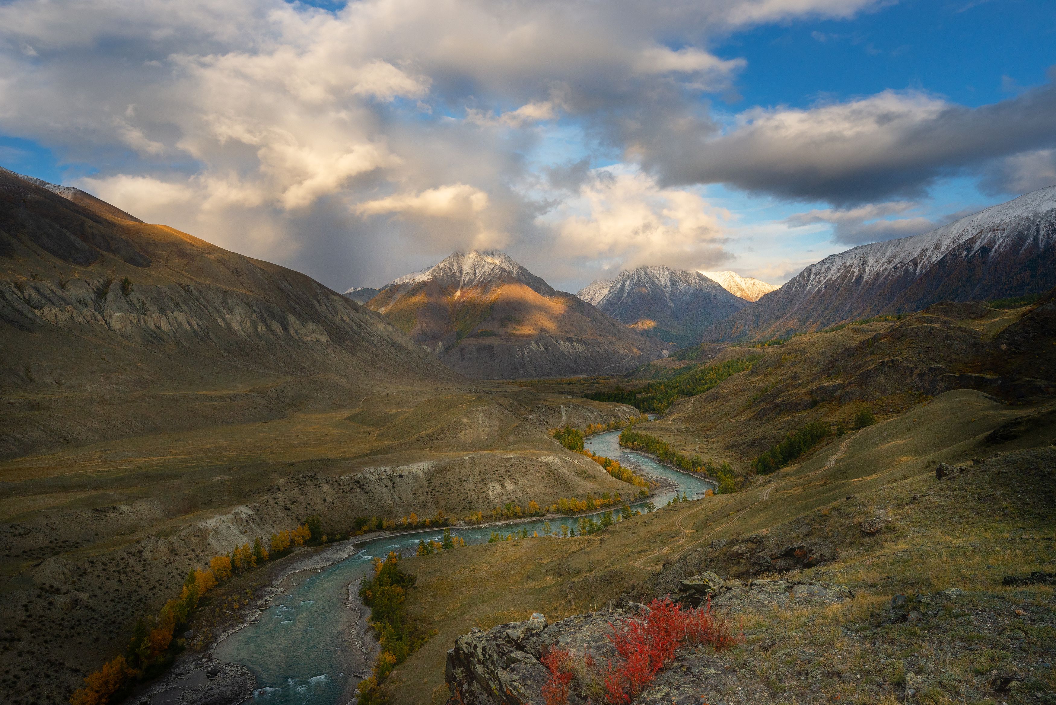 , Рустем Диков