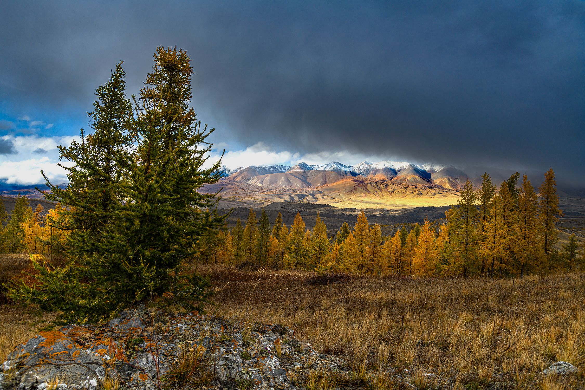 алтай, осень, горы, Юрий Матвеев