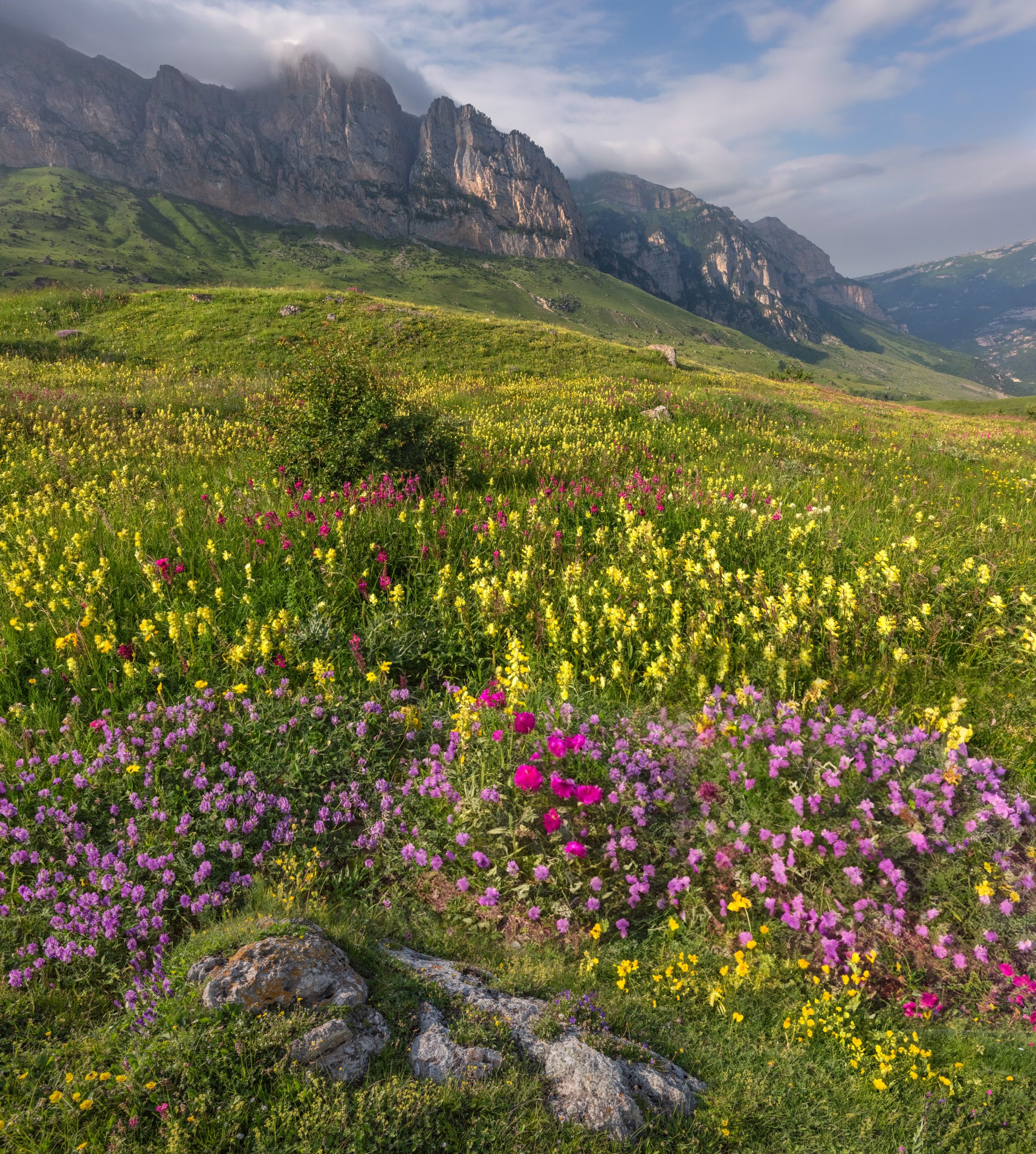 Фототуры с Владимиром Рябковым, #topnature #russpasibo #magic_shots #lovelyRussia #sunset_vision #exclusive_sky  #exclusive_shots #loves_russia2 #photoarena_nature #nature_sultans #nature_perfection #rsa_sky #rsa_sunset #photorussia #rsa_naturepics #sunse, Владимир Рябков