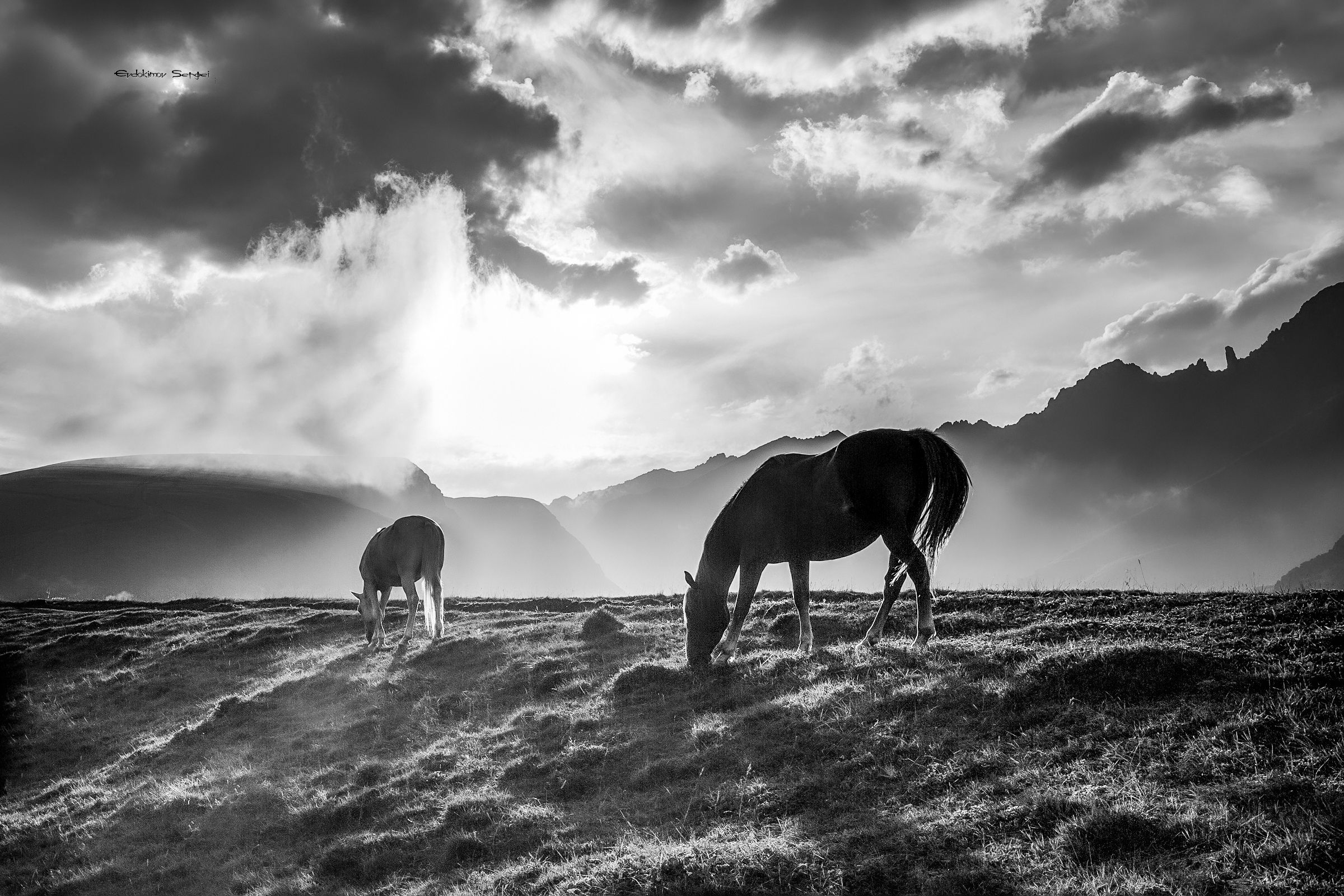 , Евдокимов Сергей