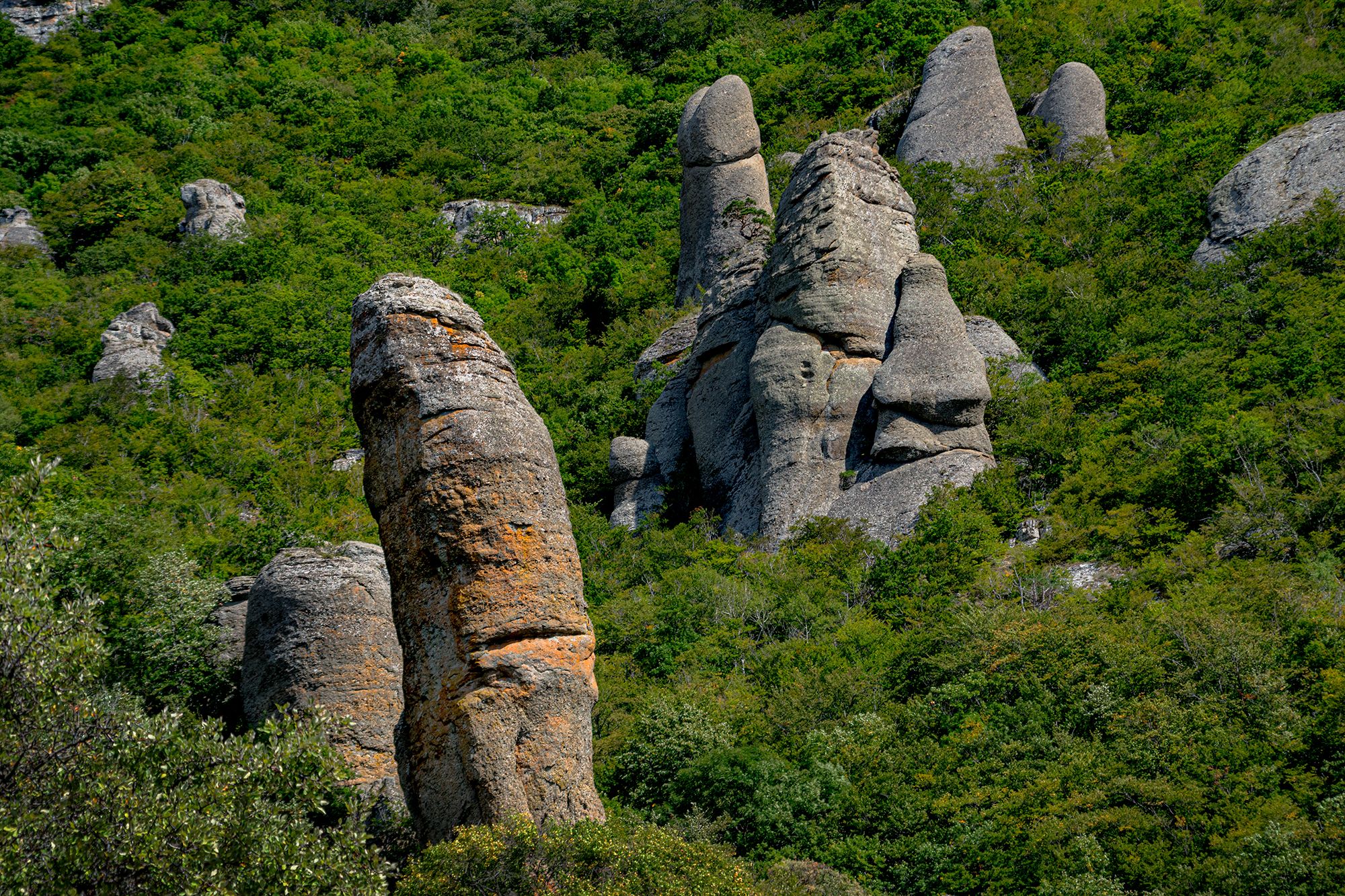 , Владимир Ноздрачев