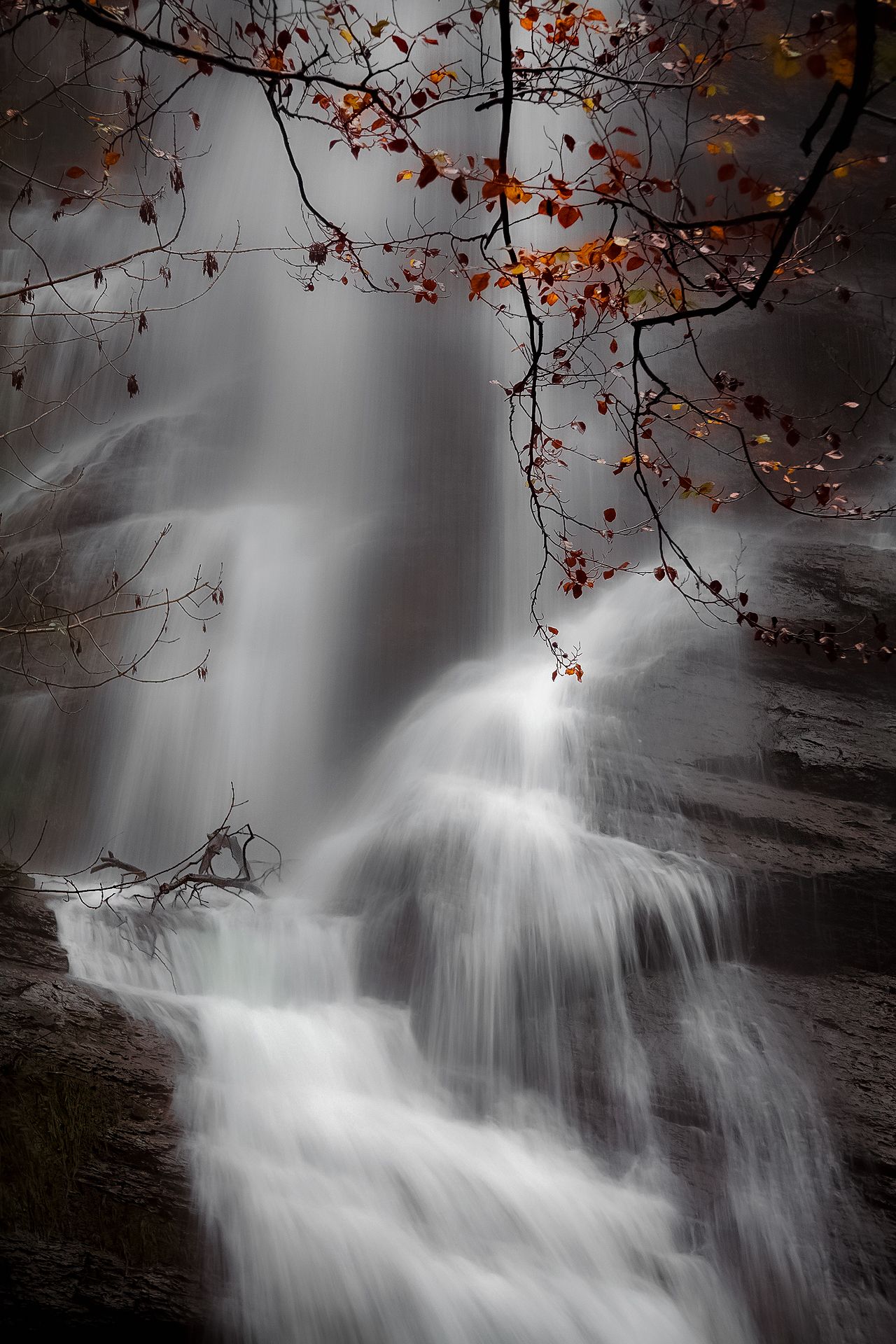 , Antonio Cantabrana