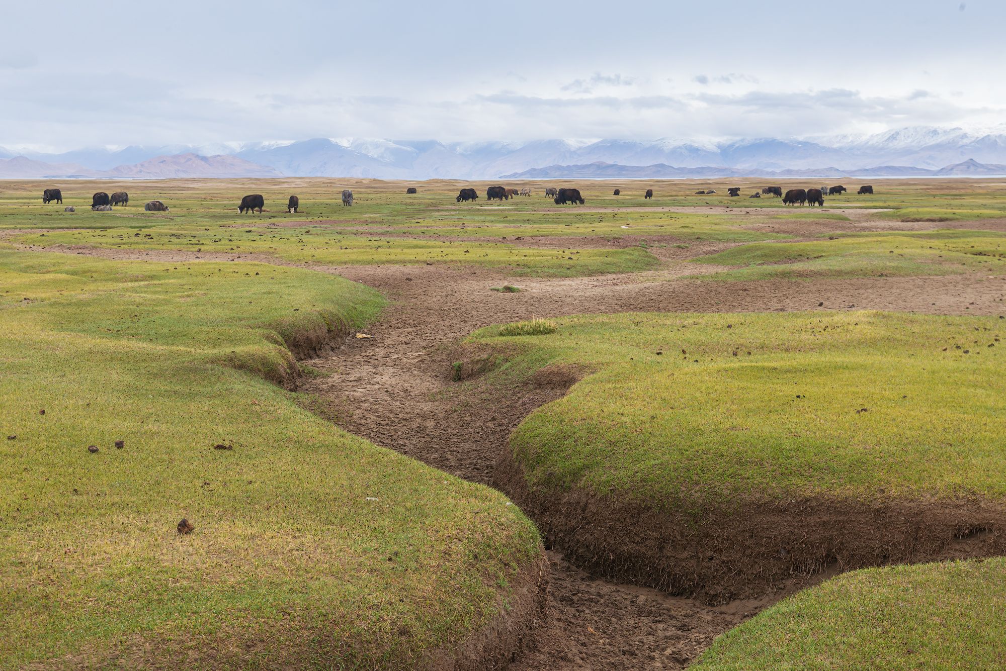 памир Таджикистан тянь_шань тяньшань пик_ленина фанские_горы Куликалон Алаудин Искандеркуль Чилдухтарон памирский_тракт, Эдуард Кутыгин
