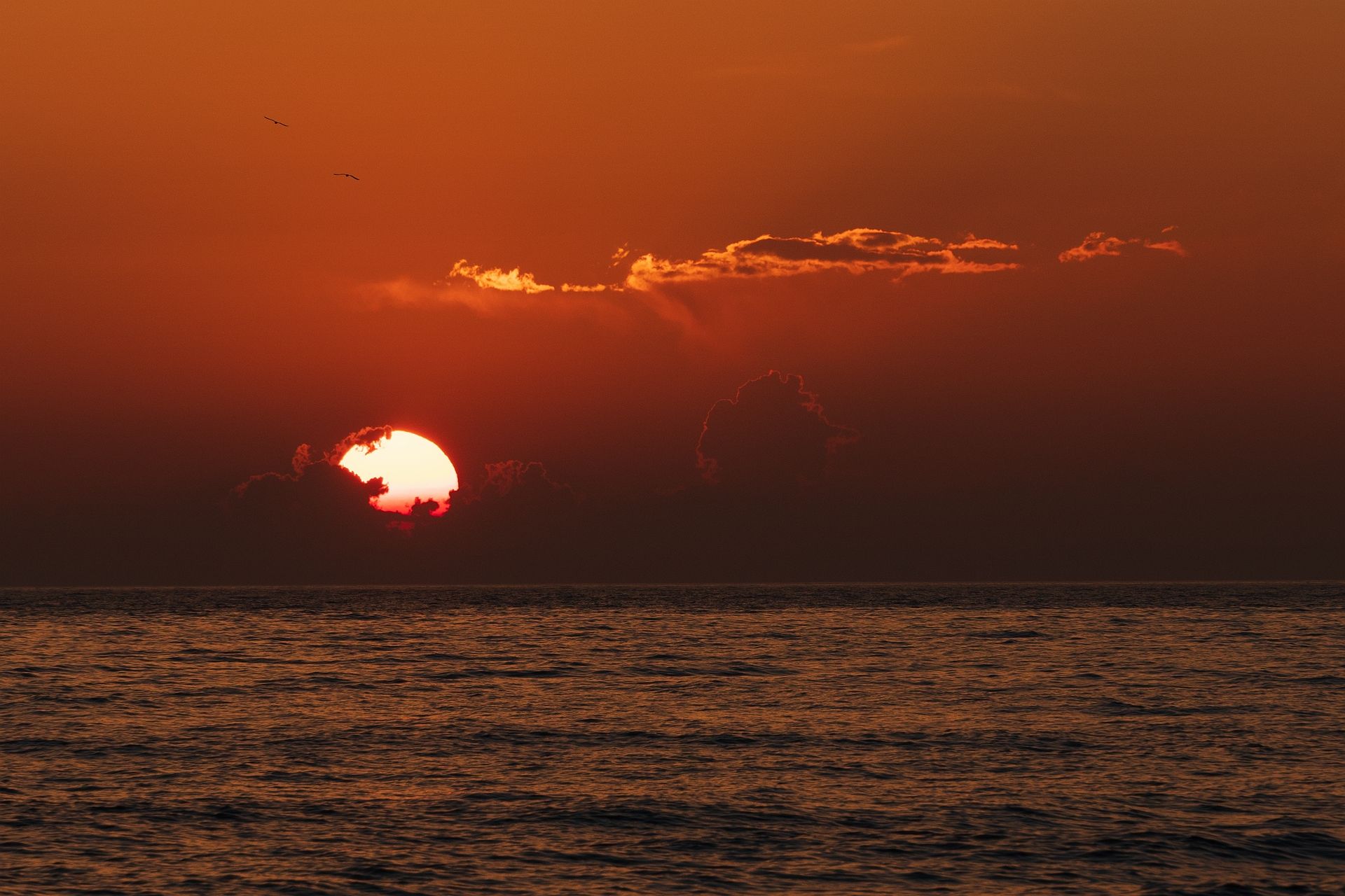 , Васин Сергей