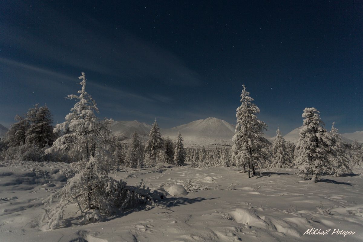 , Михаил Потапов