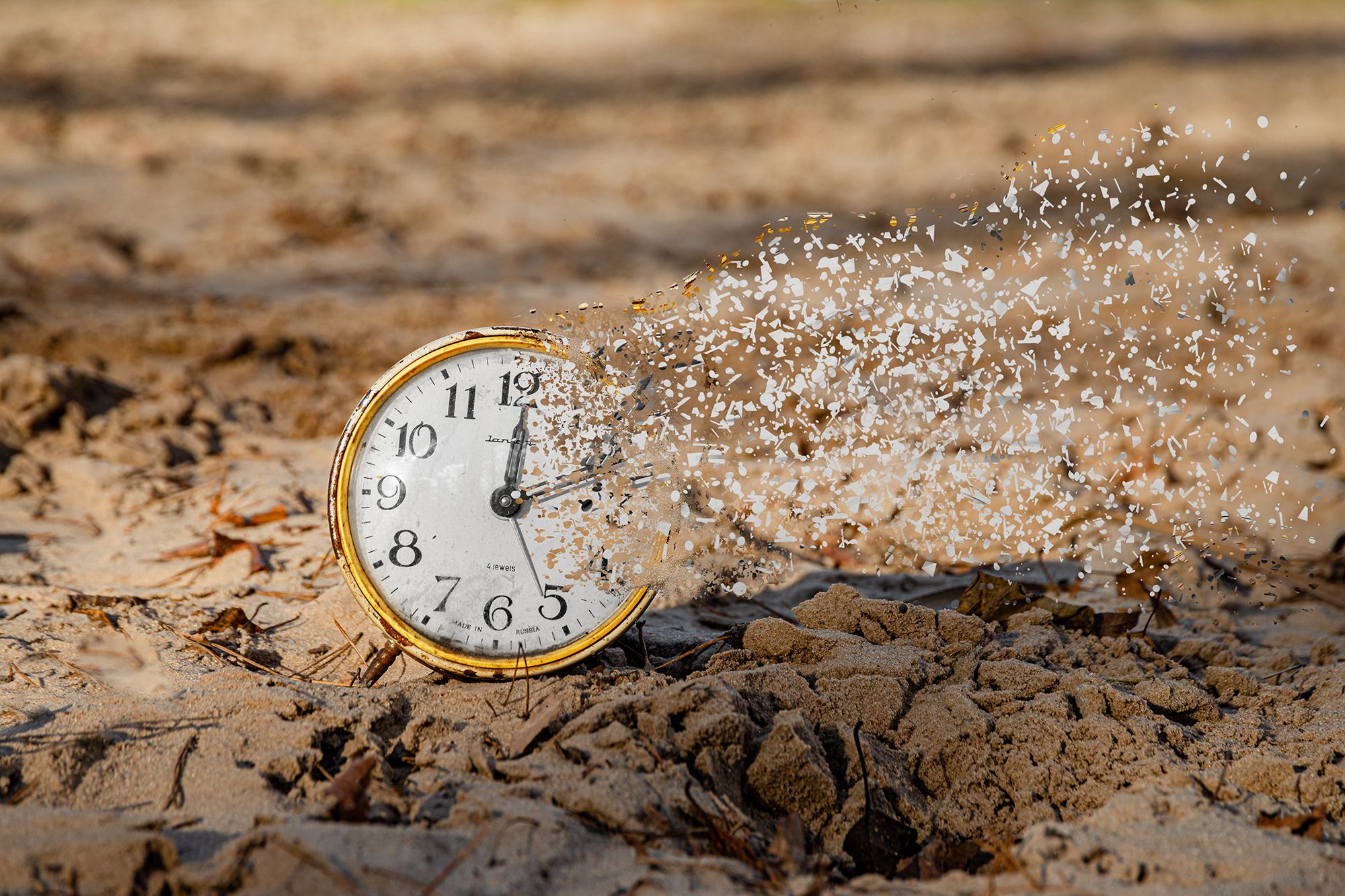 , Владимир Ноздрачев