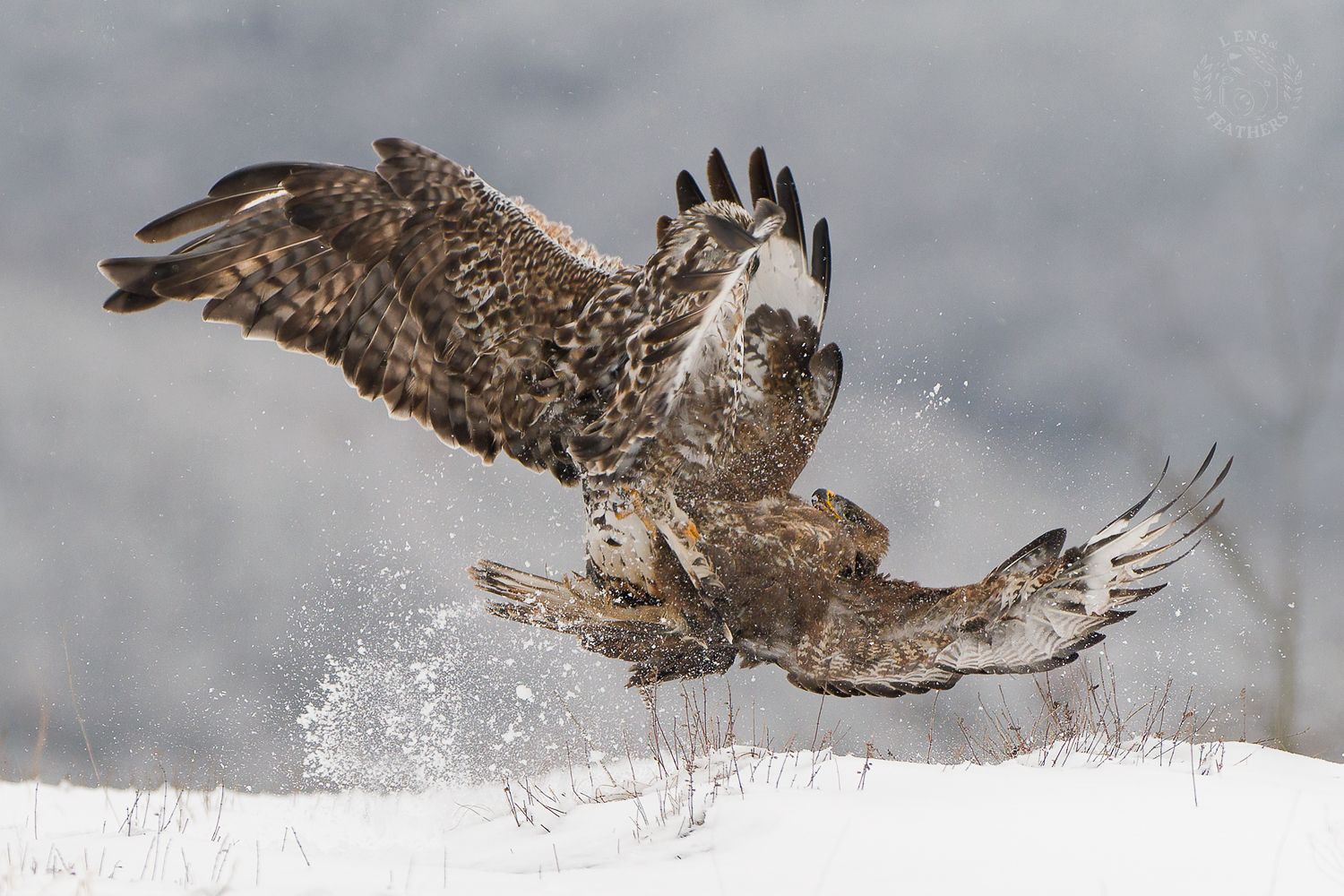 , Евгени Стефанов