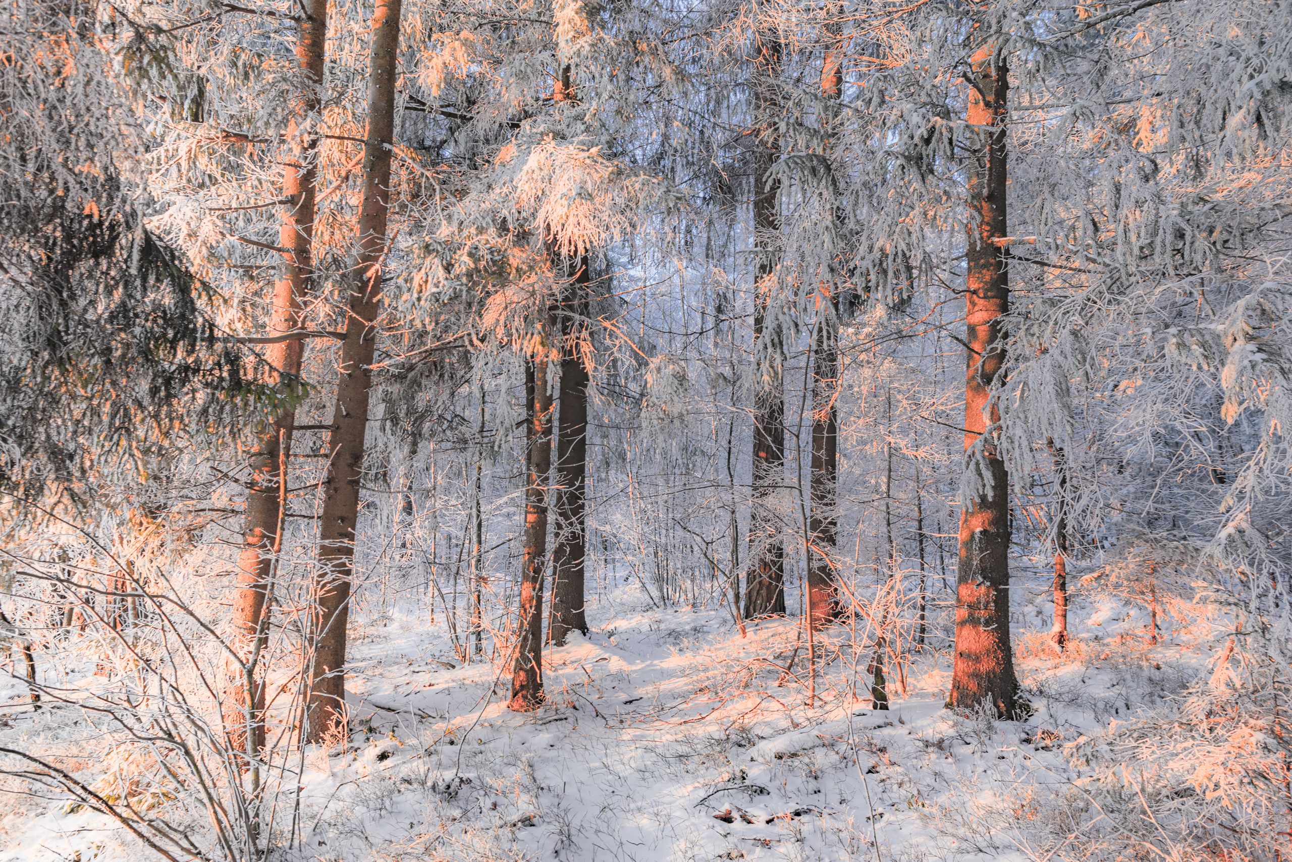 , Руслан Авдевич