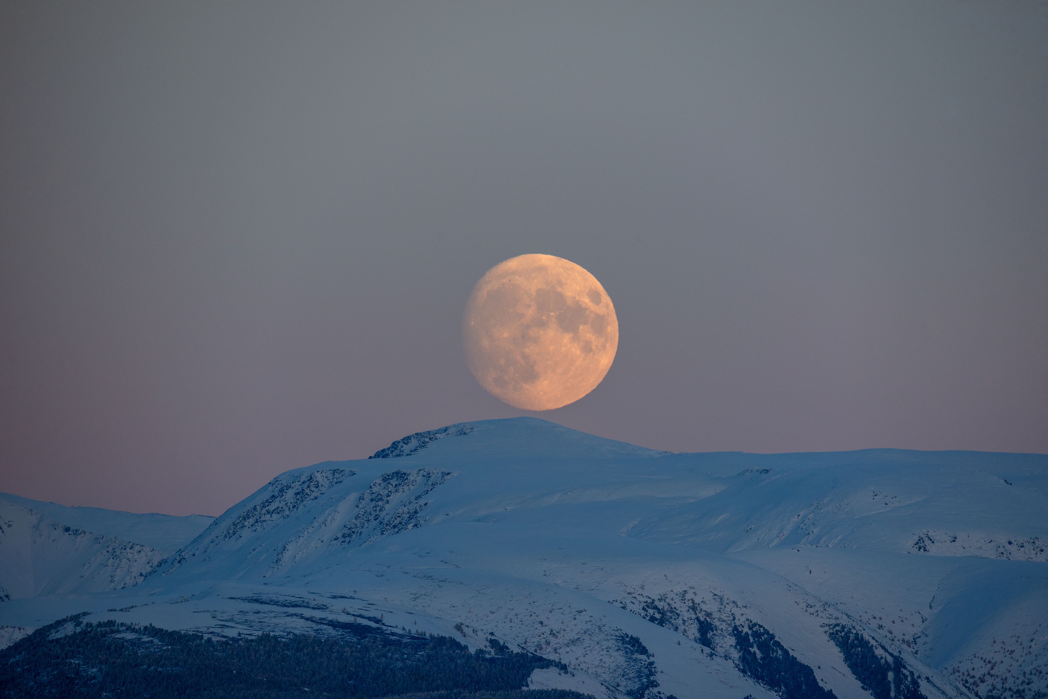 , Рустем Диков