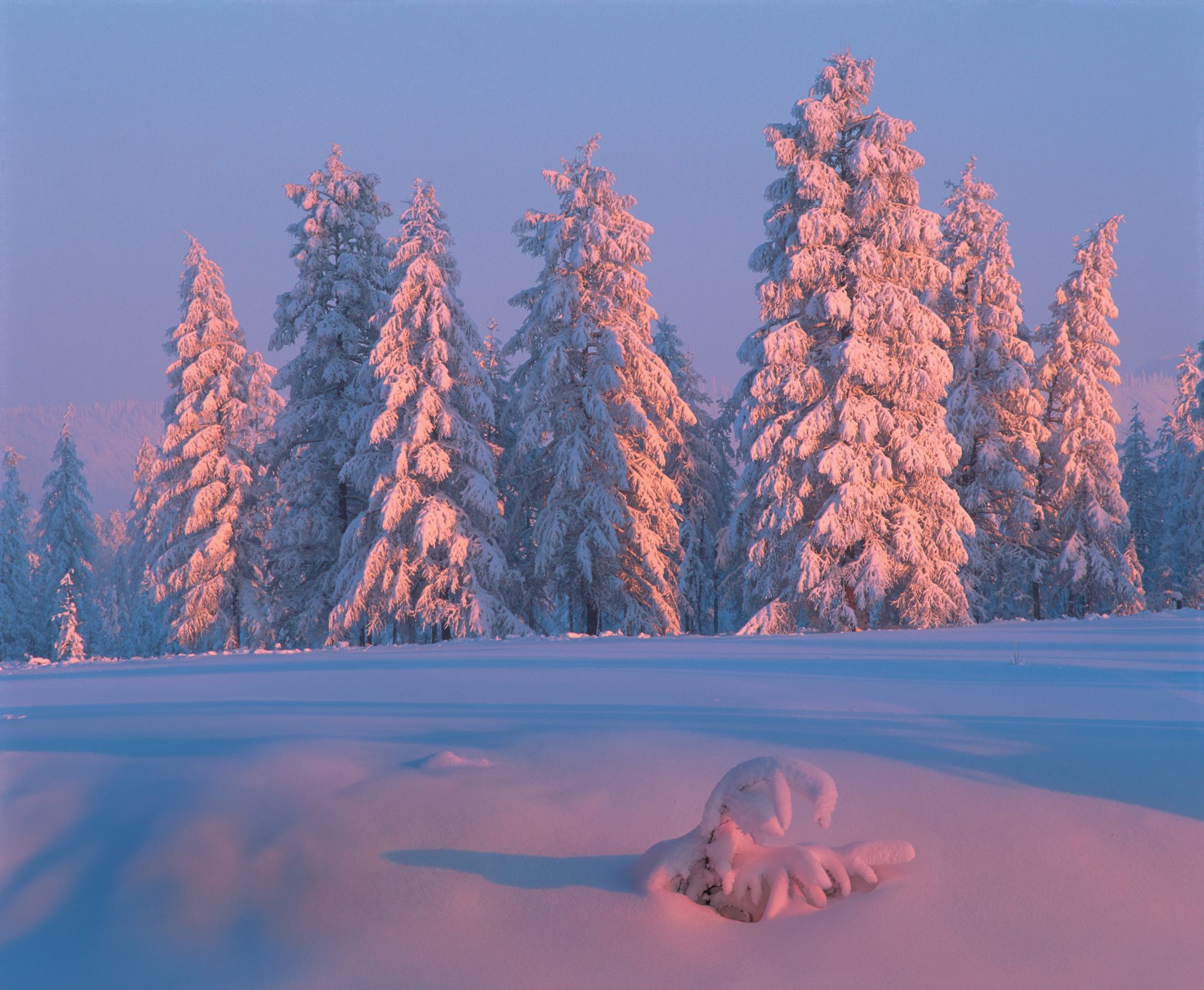 Фототуры с Владимиром Рябковым, #topnature #russpasibo #magic_shots #lovelyRussia #sunset_vision #exclusive_sky  #exclusive_shots #loves_russia2 #photoarena_nature #nature_sultans #nature_perfection #rsa_sky #rsa_sunset #photorussia #rsa_naturepics #sunse, Владимир Рябков