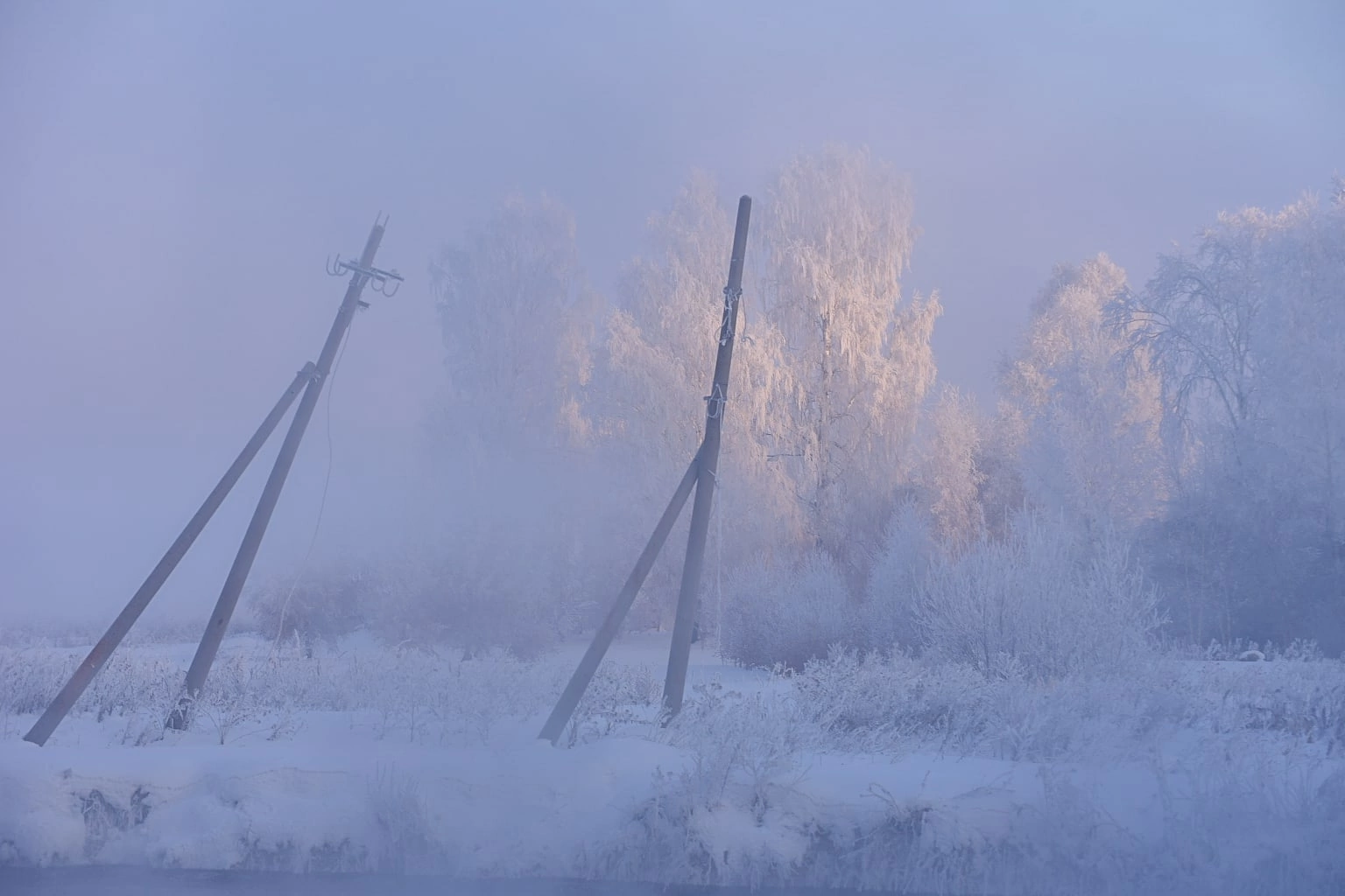 , Ватрушкин Максим