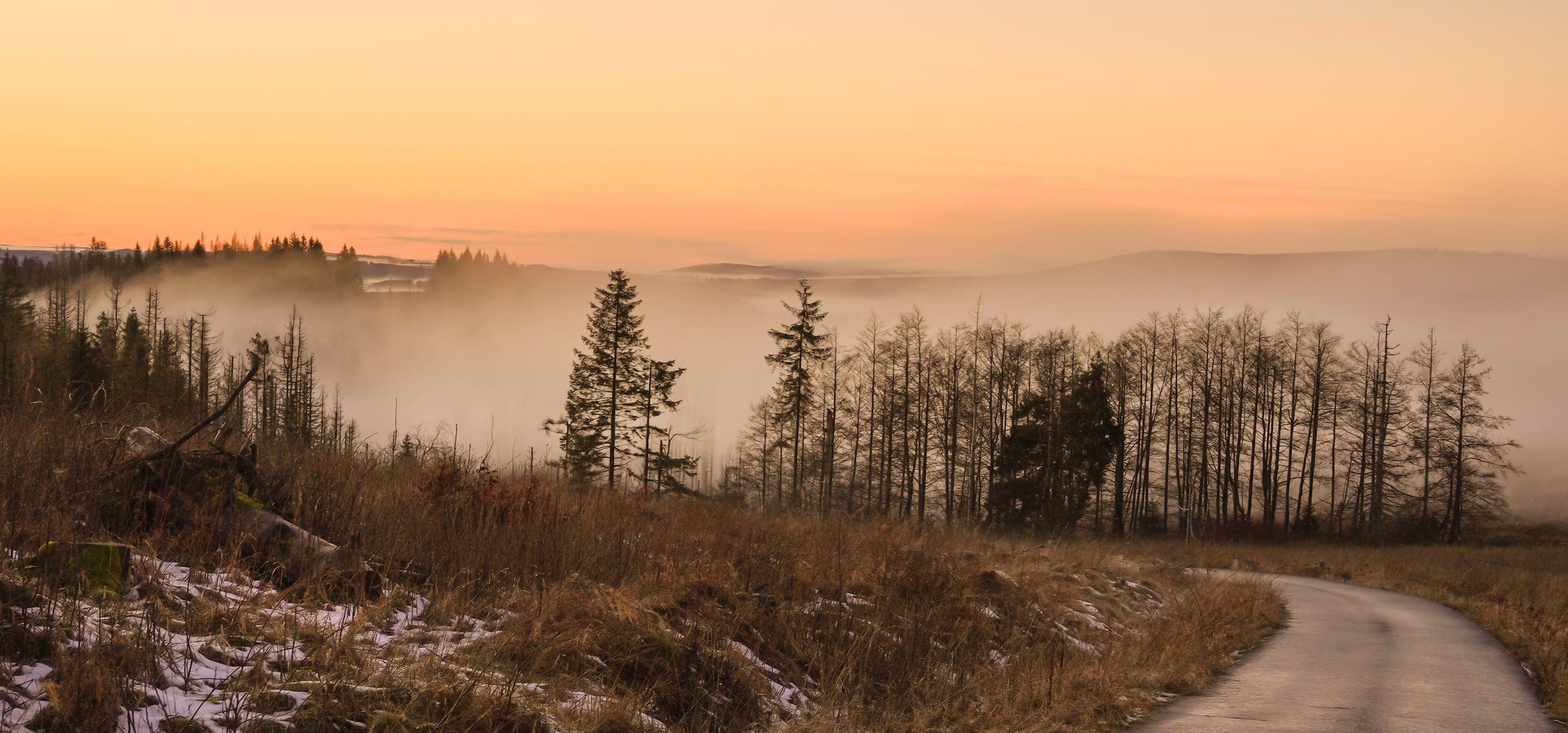 , Игорь Дубровский