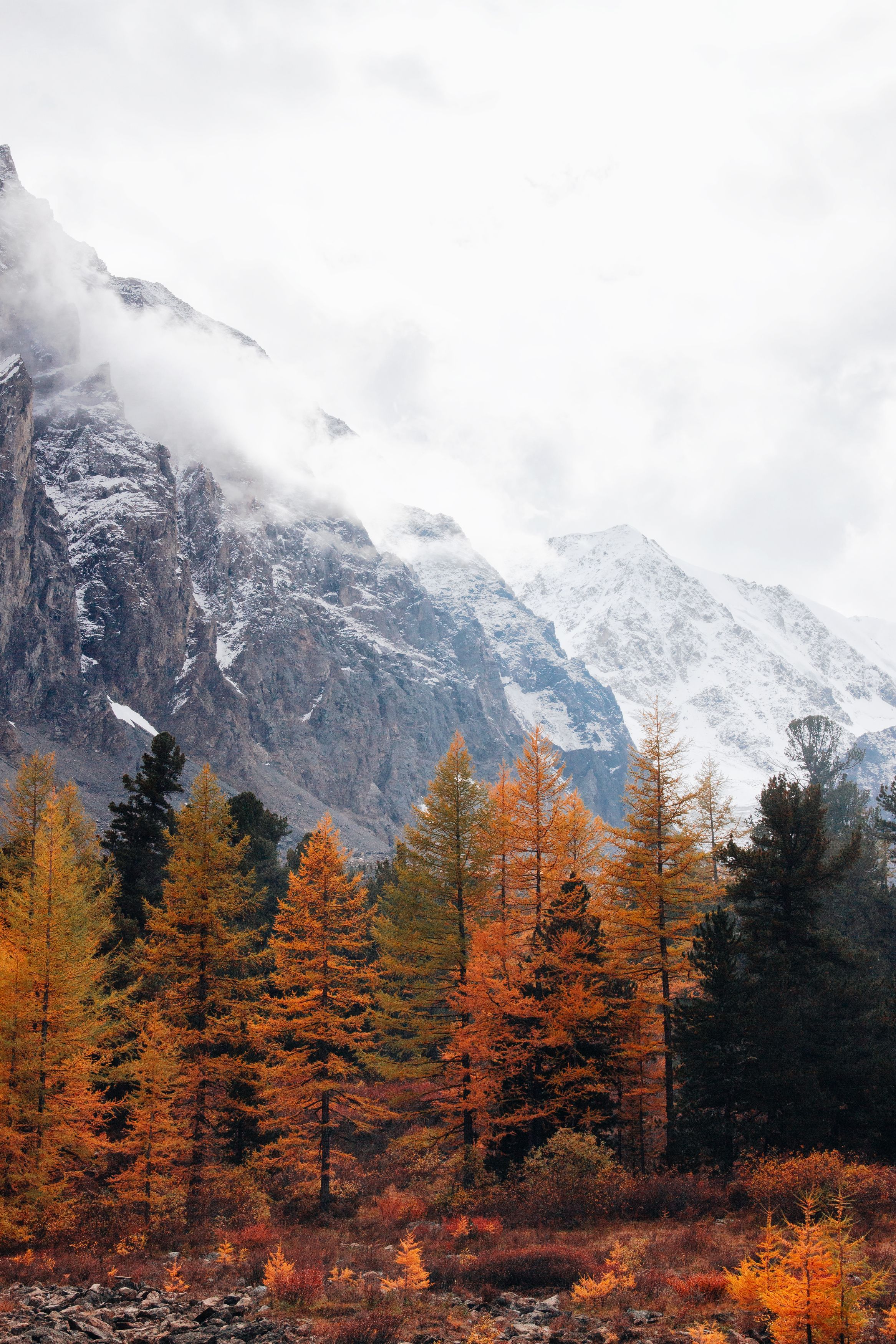 , Ярослав Чаадаев