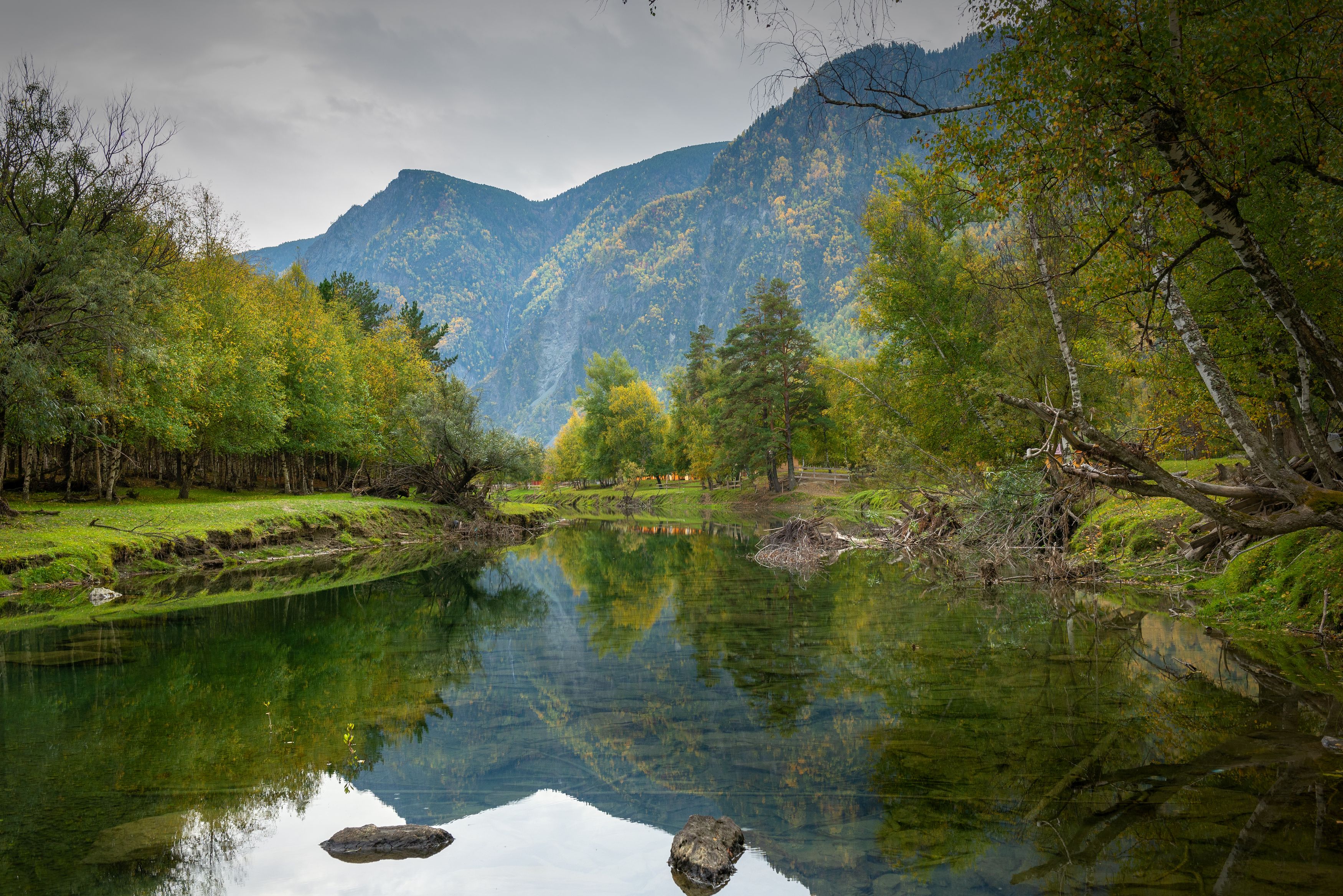 , Рустем Диков