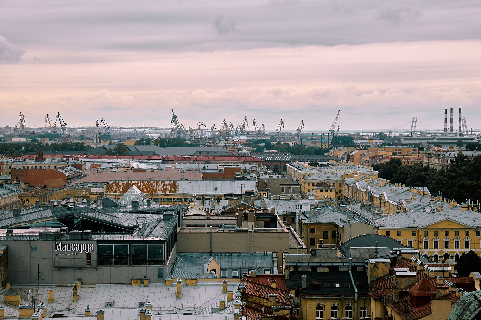 , Некрасов Денис