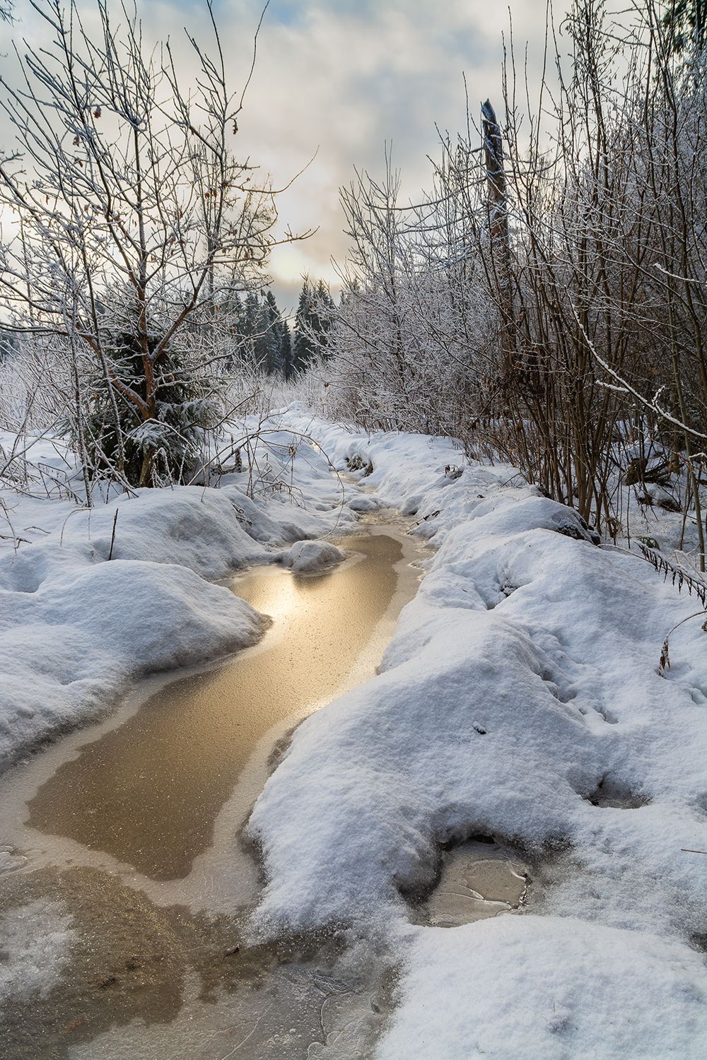 , Дмитрий Асеев