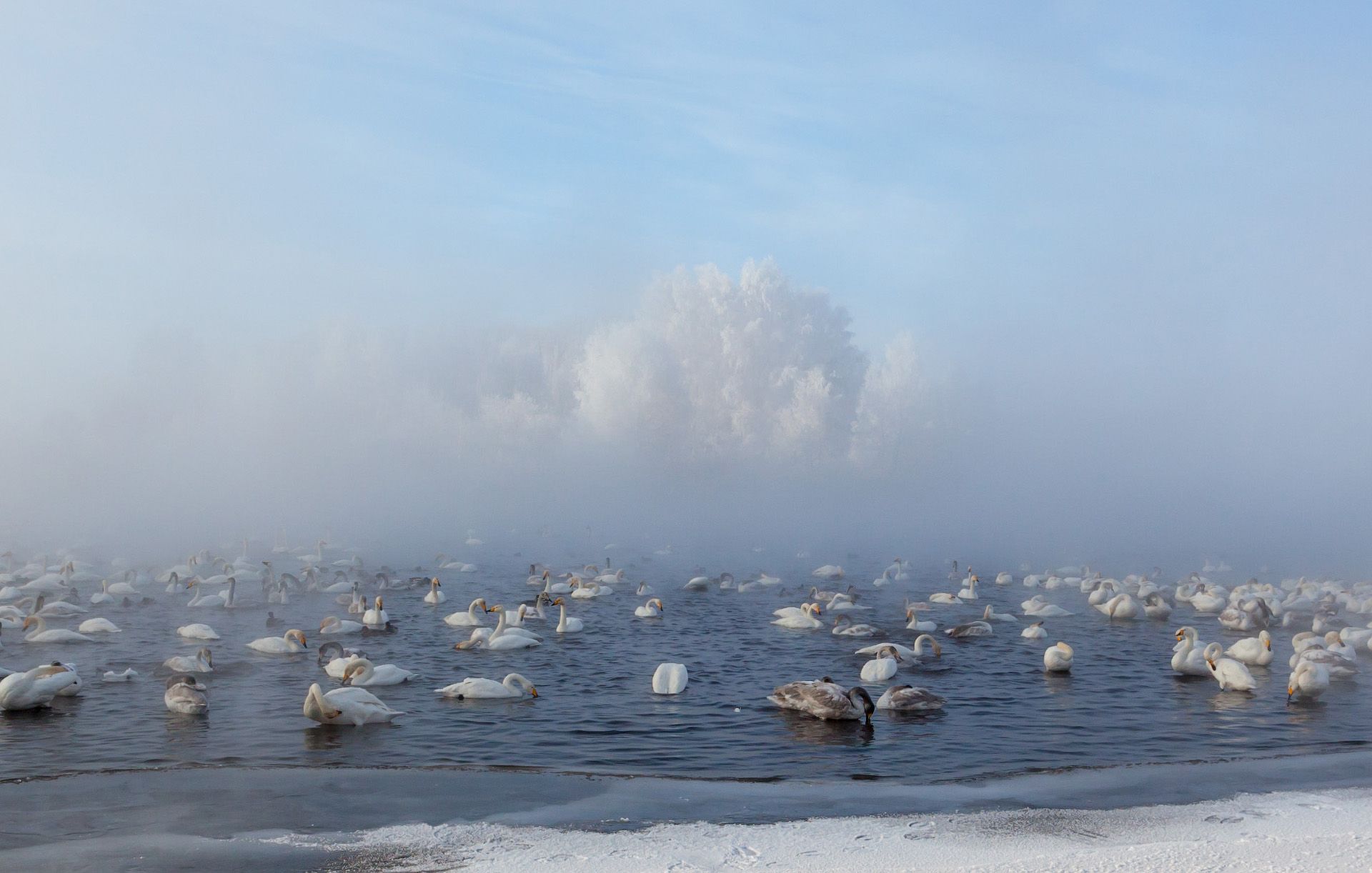 , Сергей Молоков