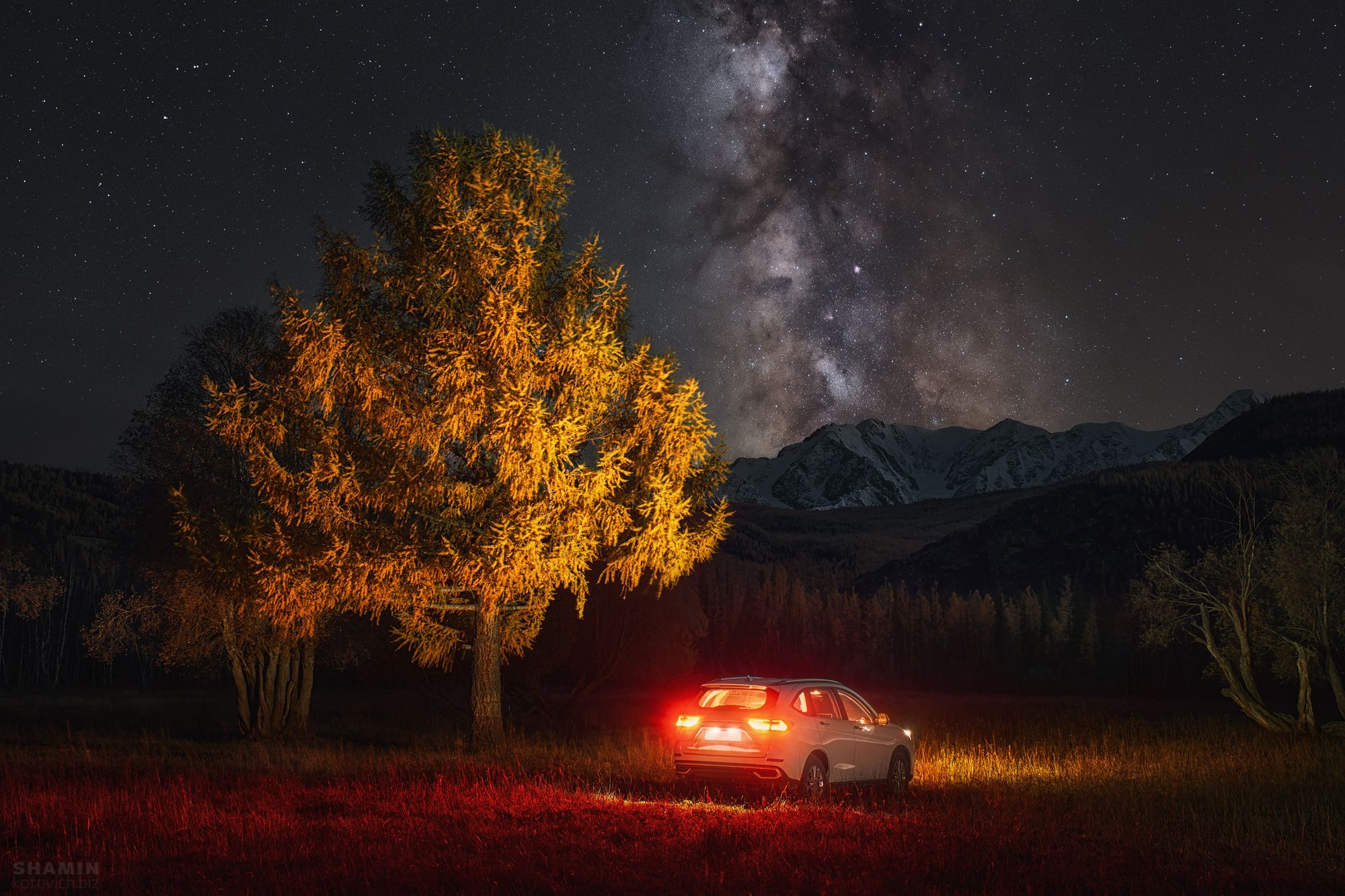 , Константин Шамин