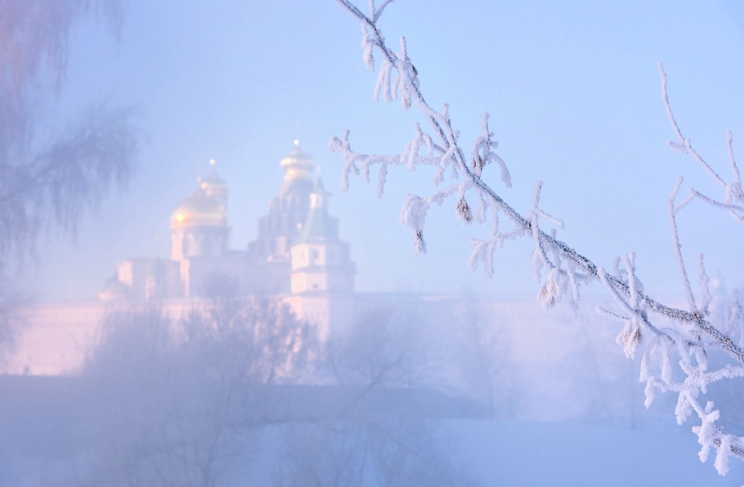 , Дмитрий Асеев