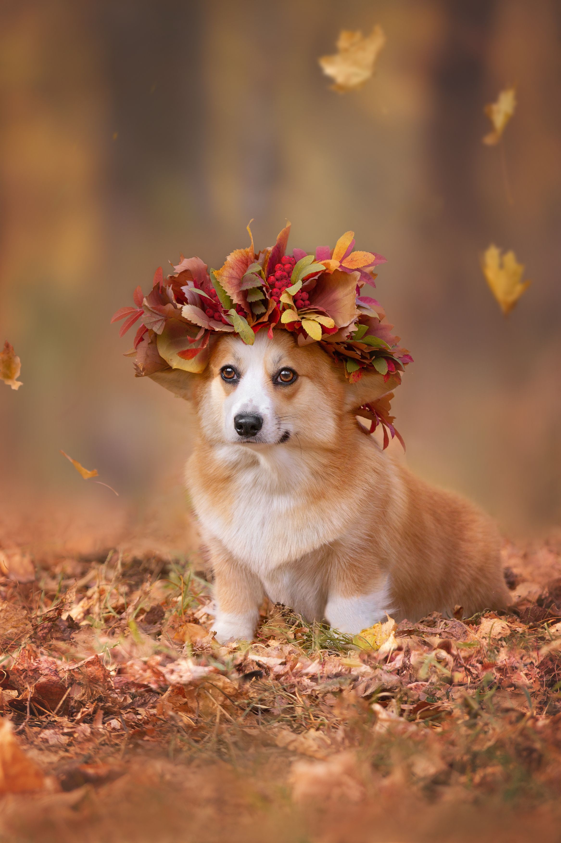 , Наталья Степанова