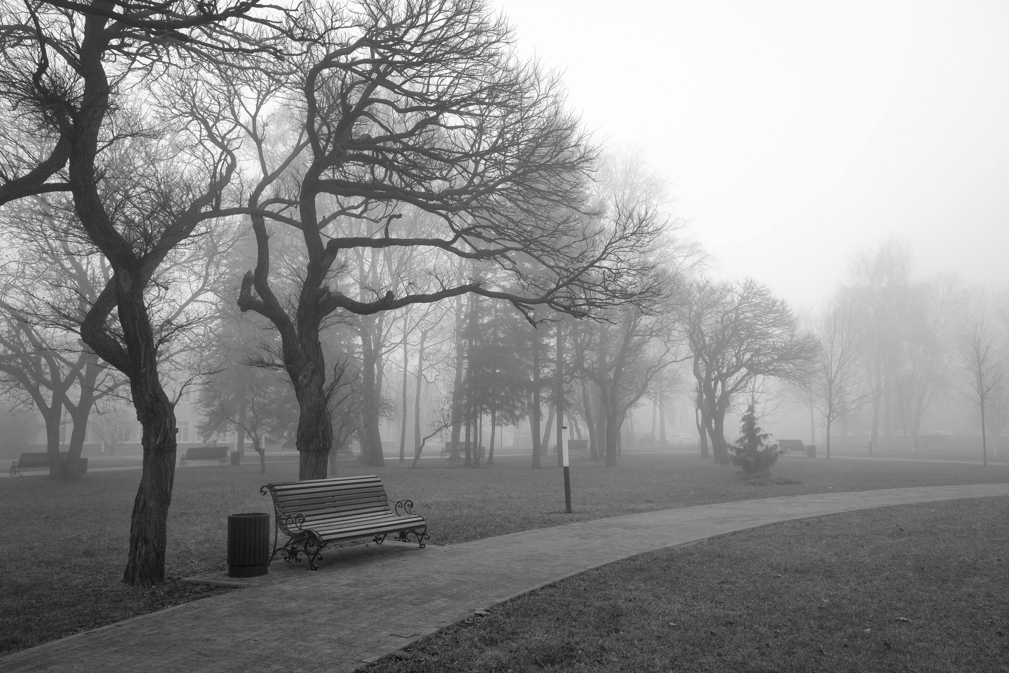 туман, лавочка, тишина, одиночество, спокойствие, Зорин Миша