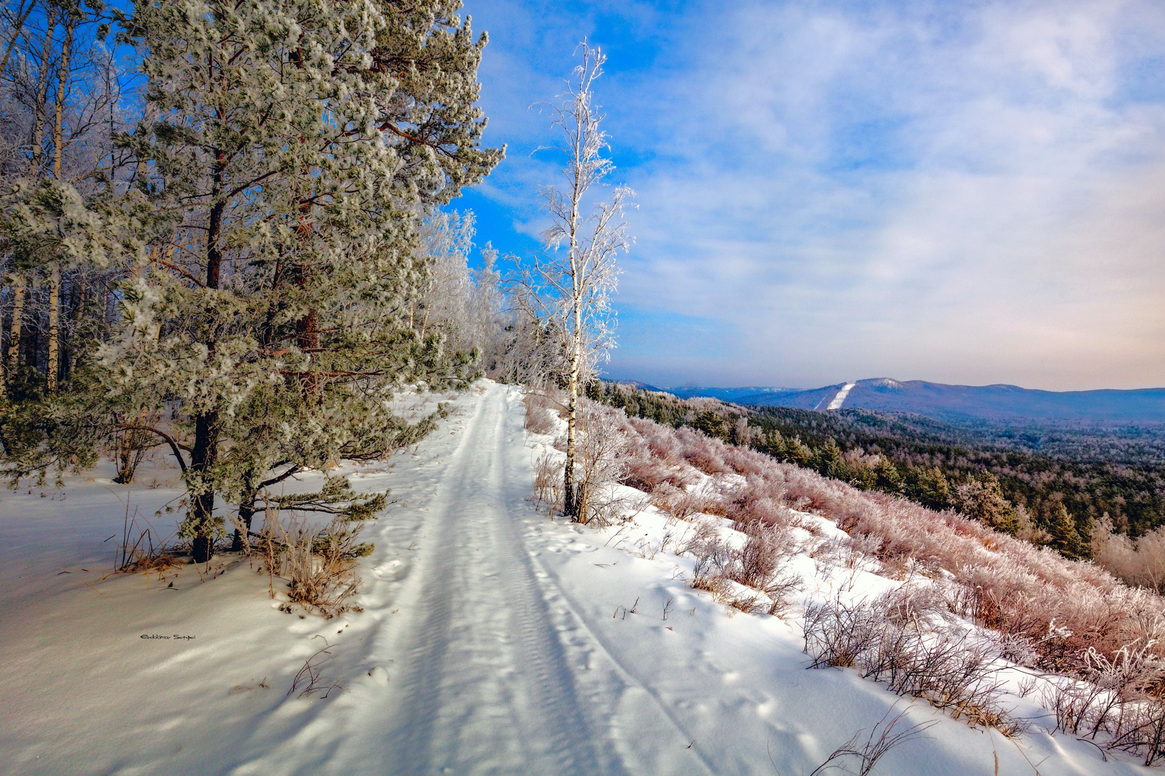 , Евдокимов Сергей