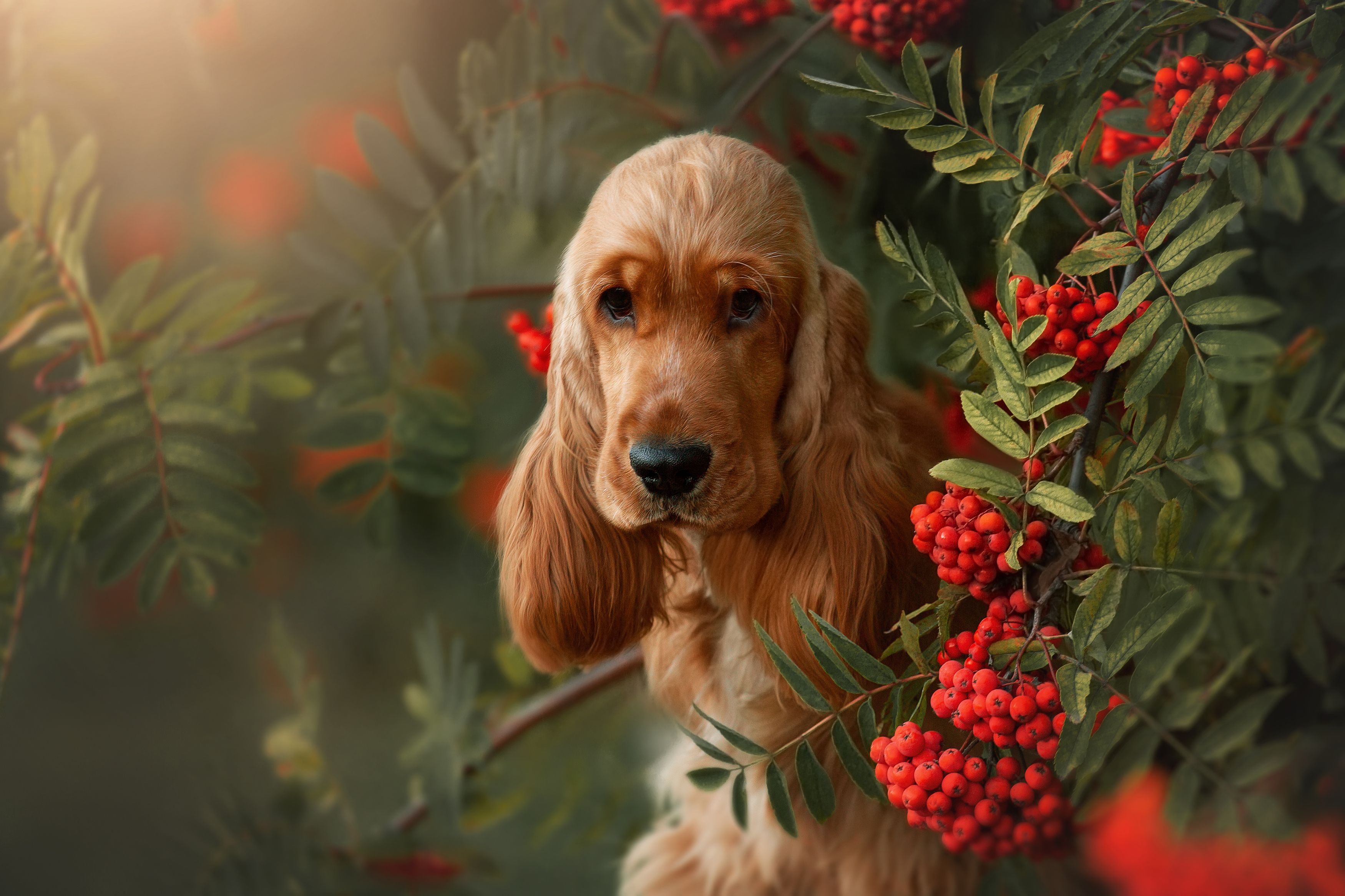 , Наталья Степанова