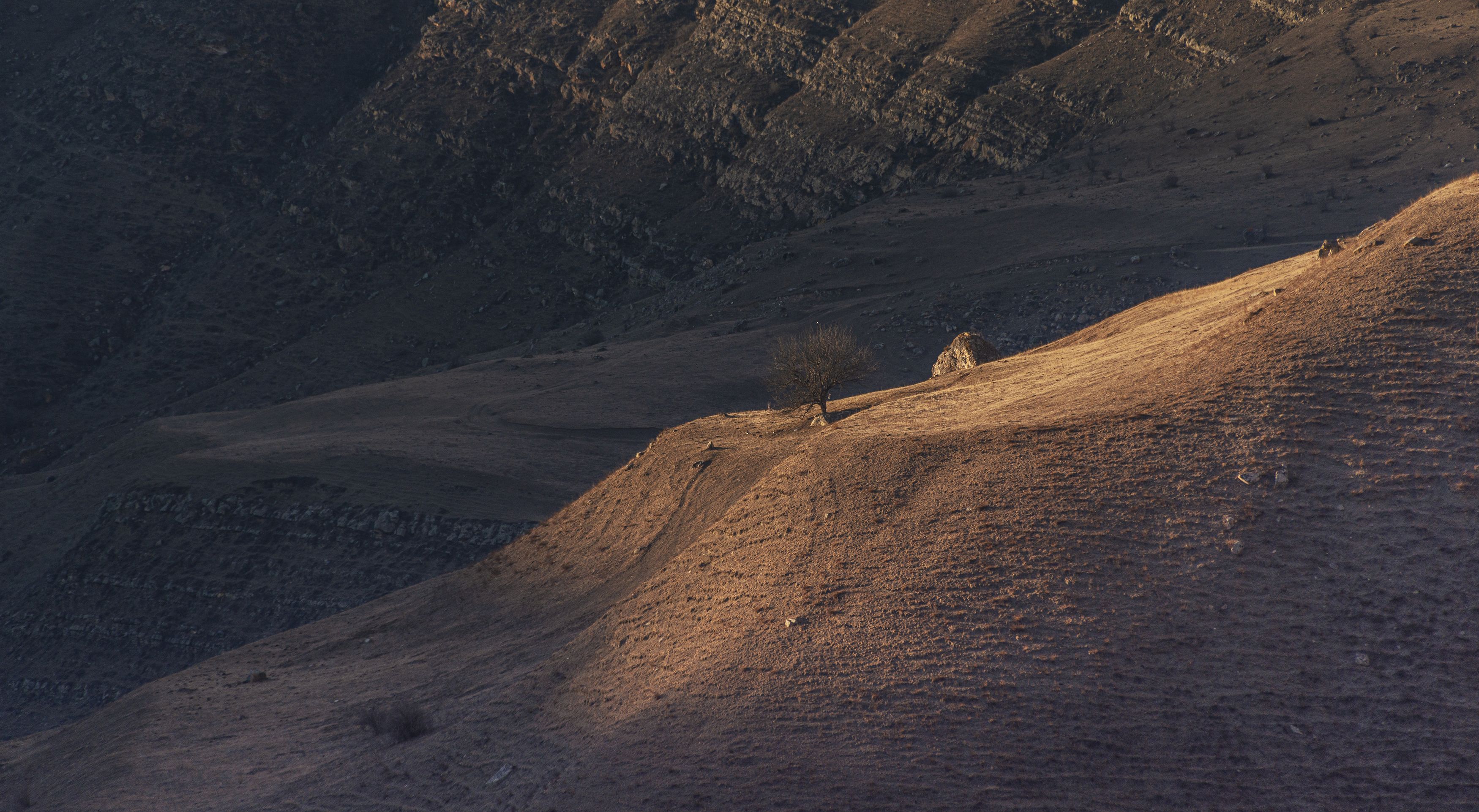 , Чухров Дмитрий